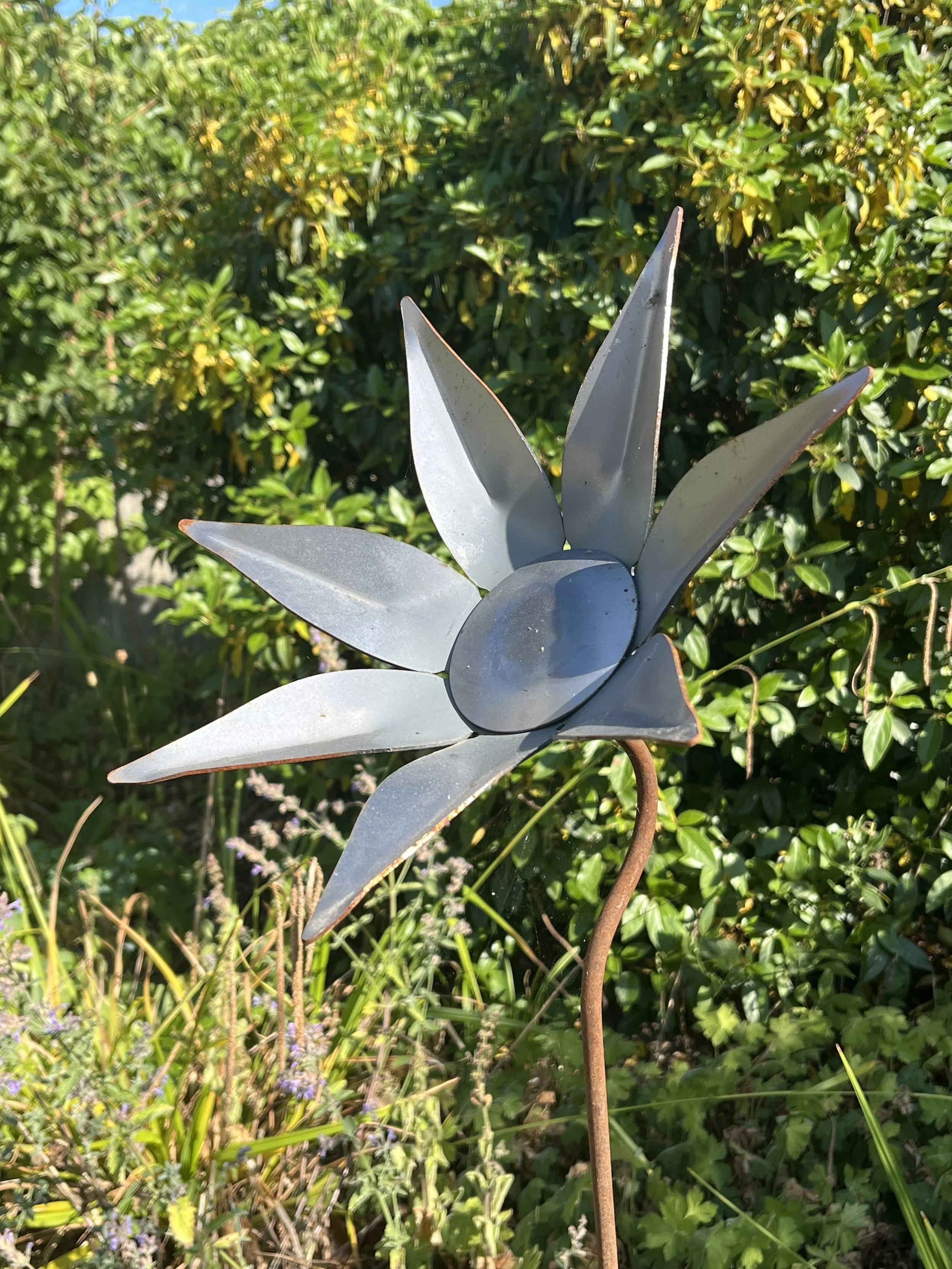 Seven Petal Flower