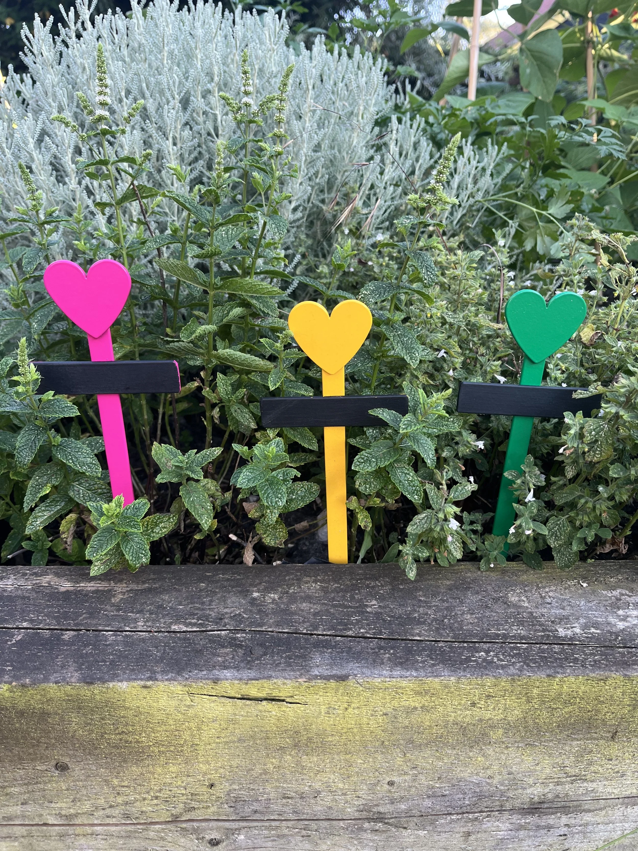 Plant Label - Set of Three