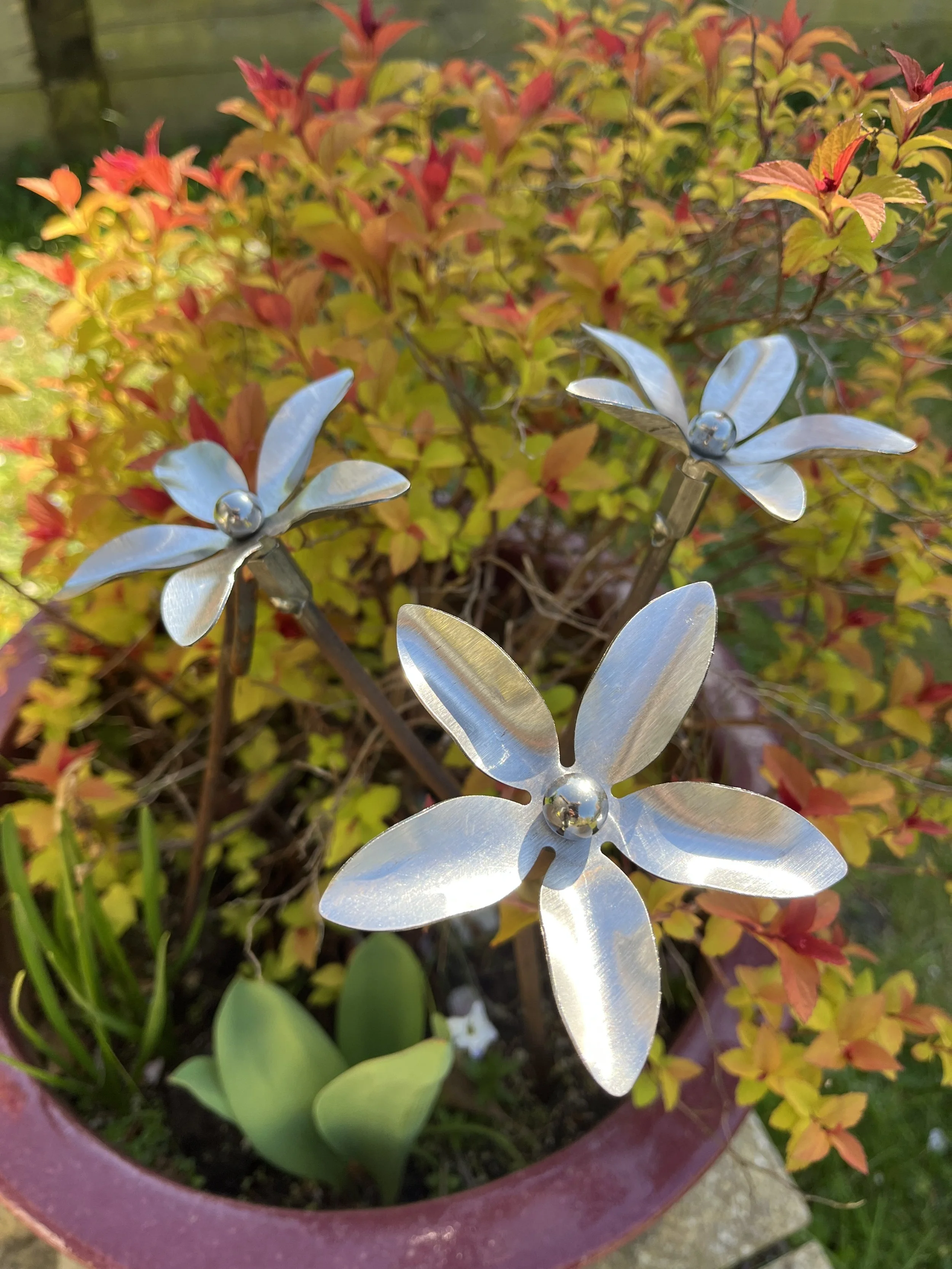Five Petal Flower Trio