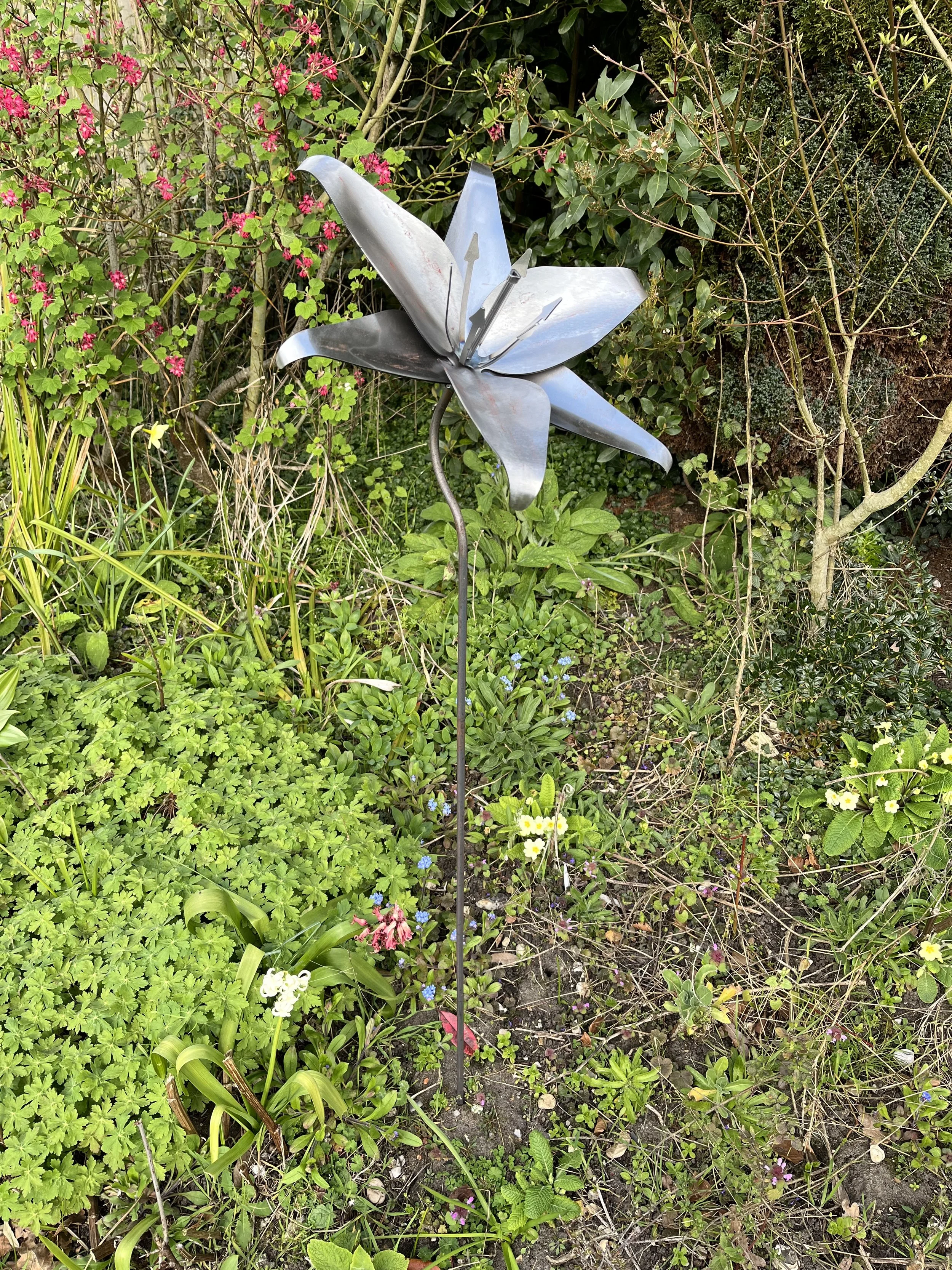 IMG_5008.jpeg