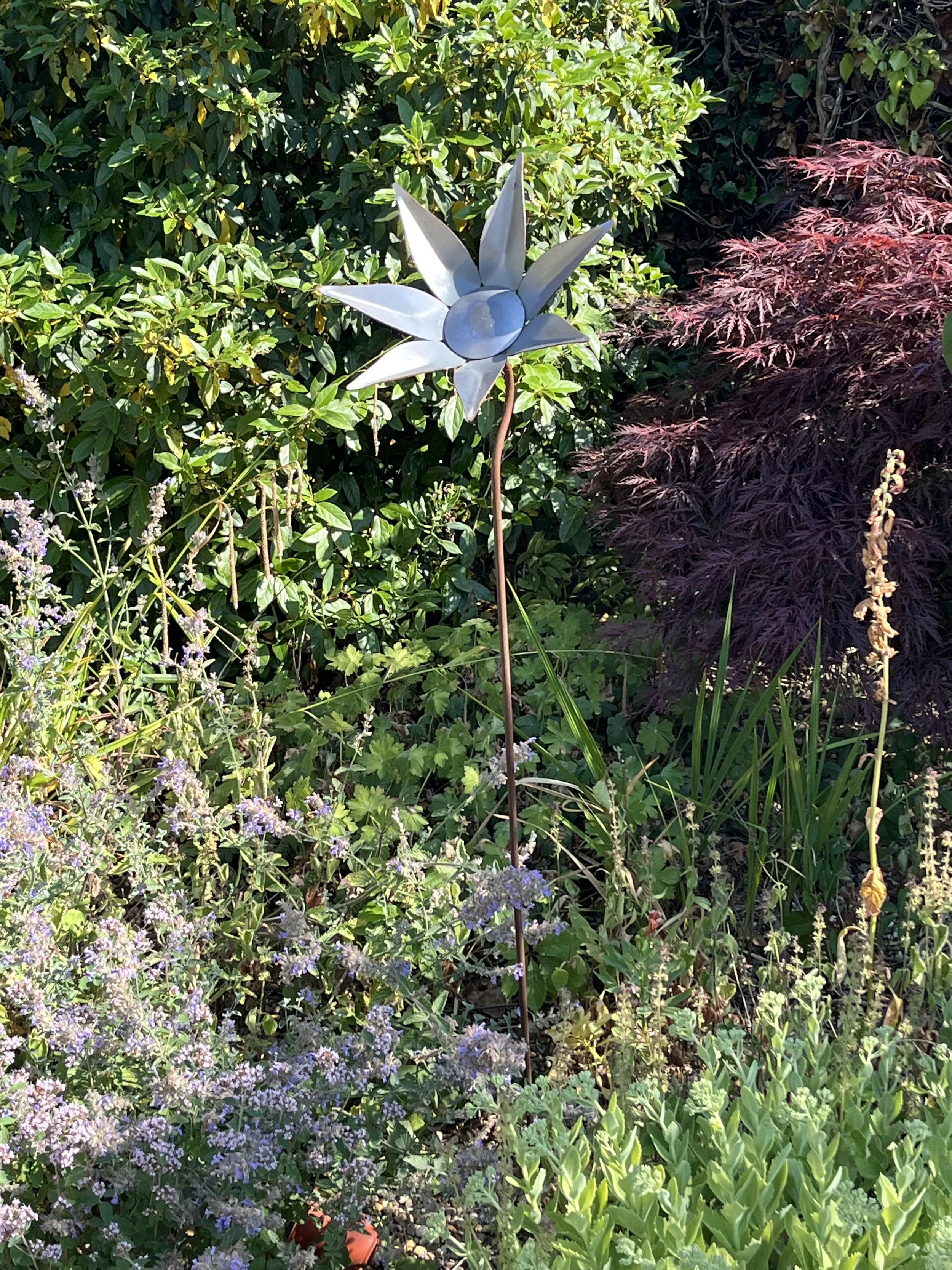 IMG_5994.jpeg