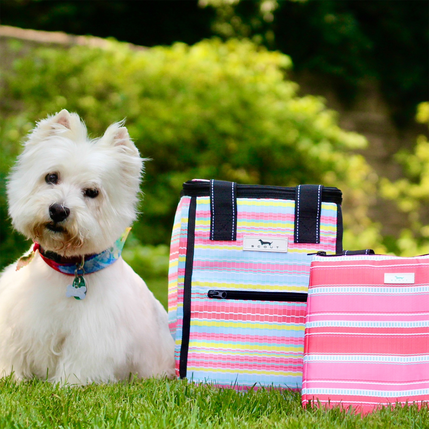 SCOUT: Wholesale Catalog