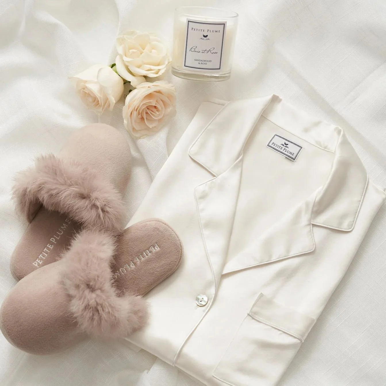 Petite Plume: Paid Social