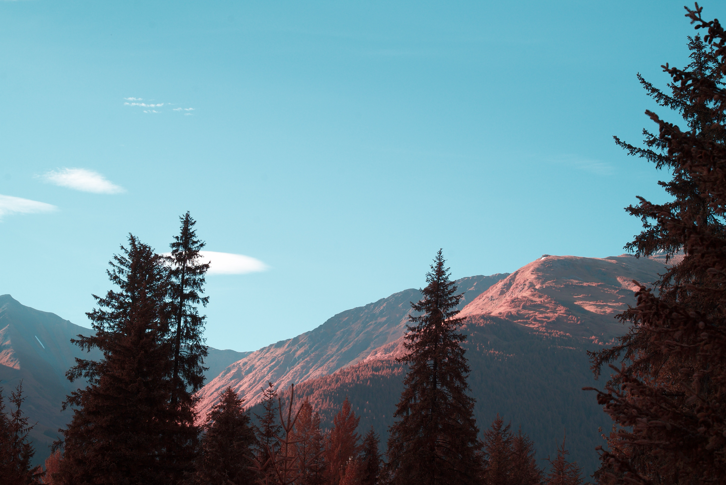 File_000(1).png