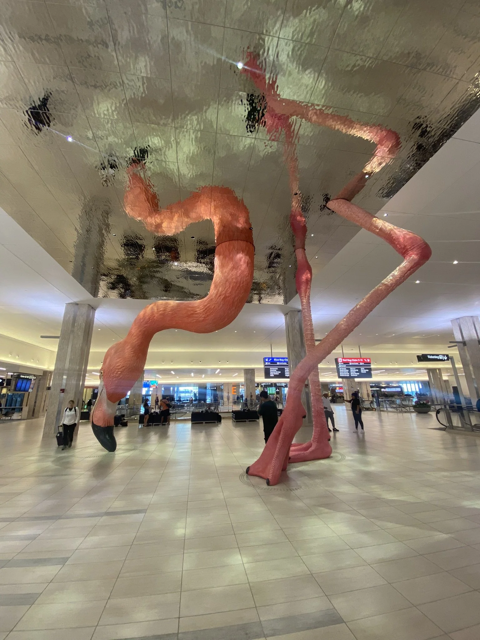 IMG_3509.JPEG