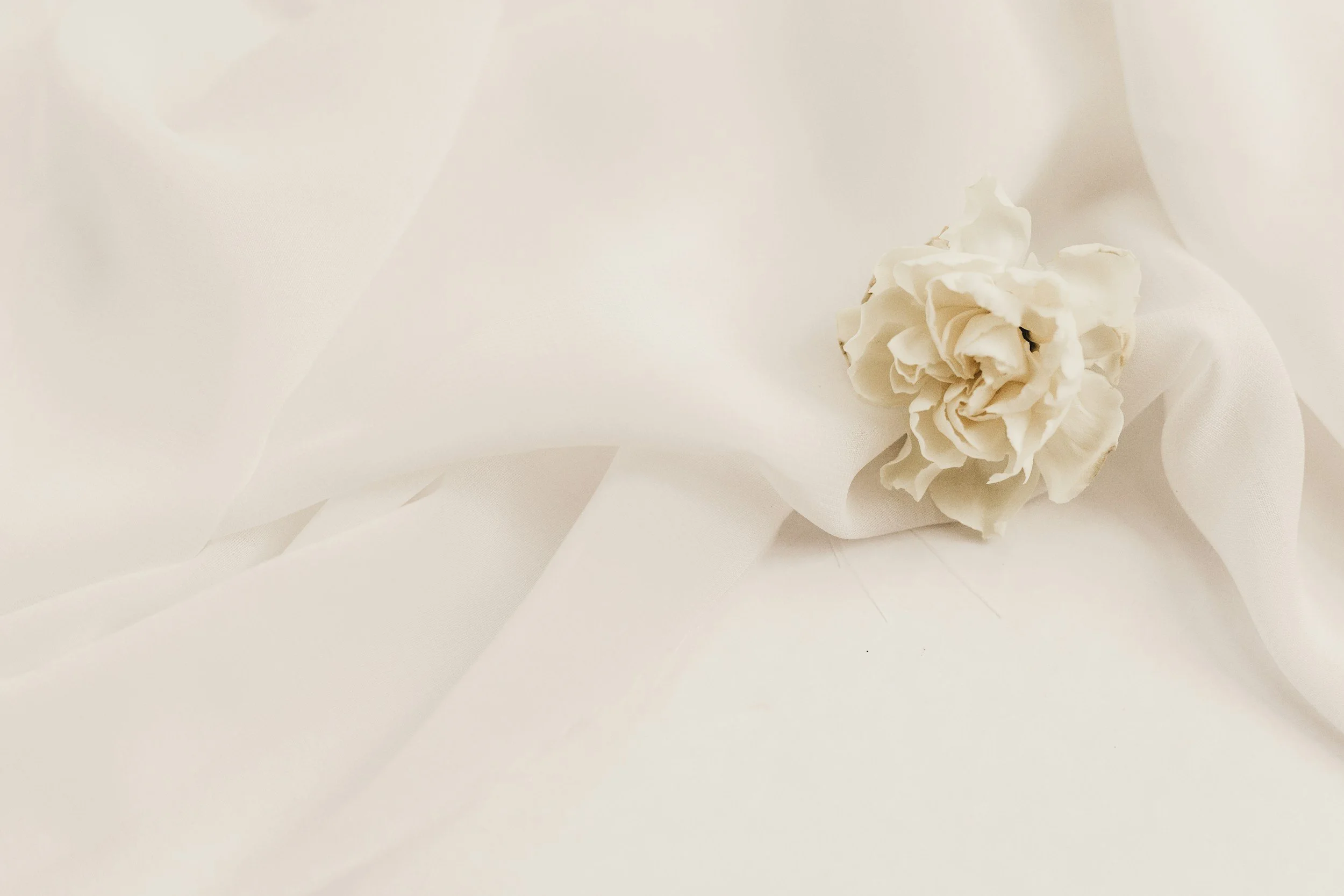 White fabric with a white flower resting on it.