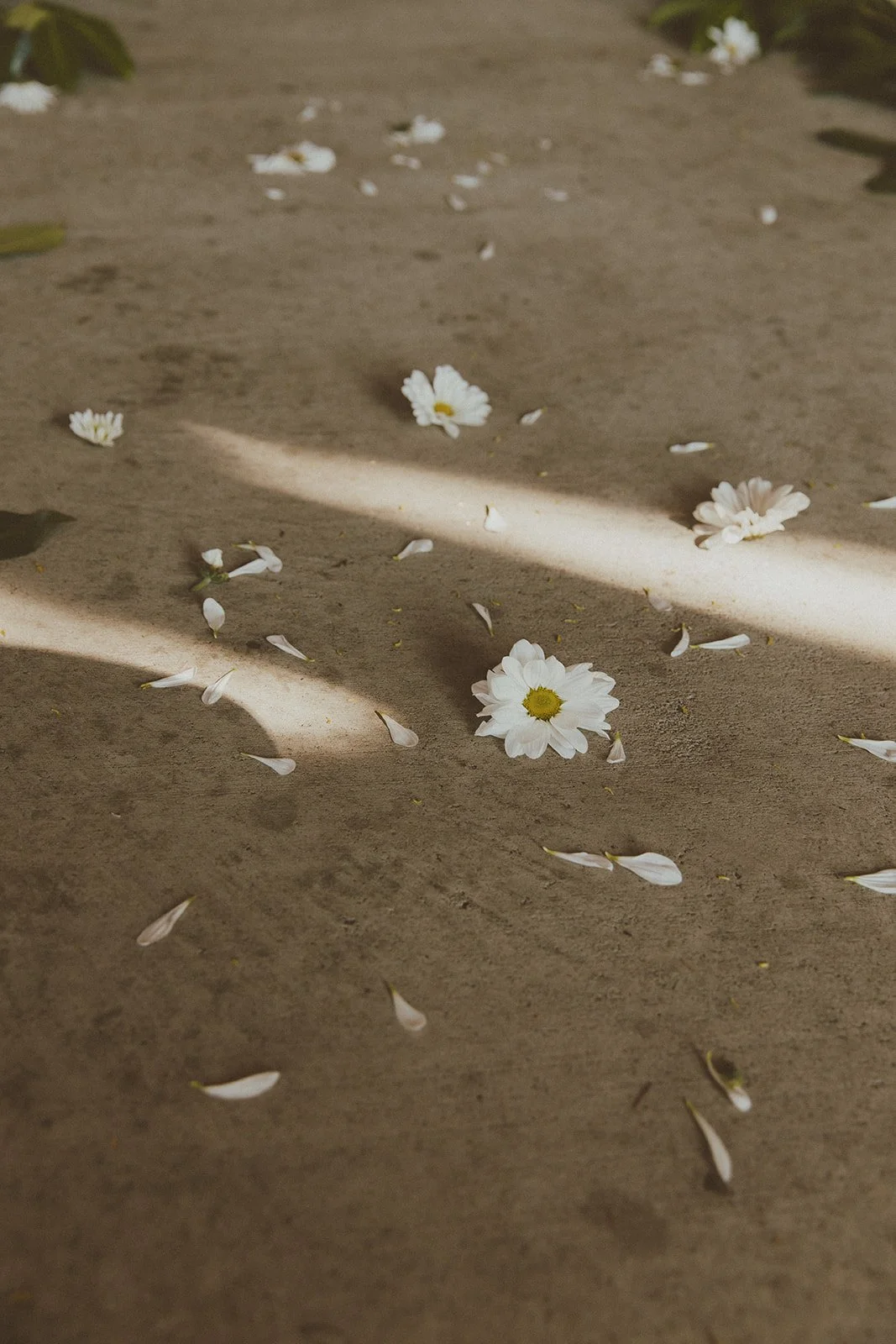 Demetrius &amp; Hannahs Wedding