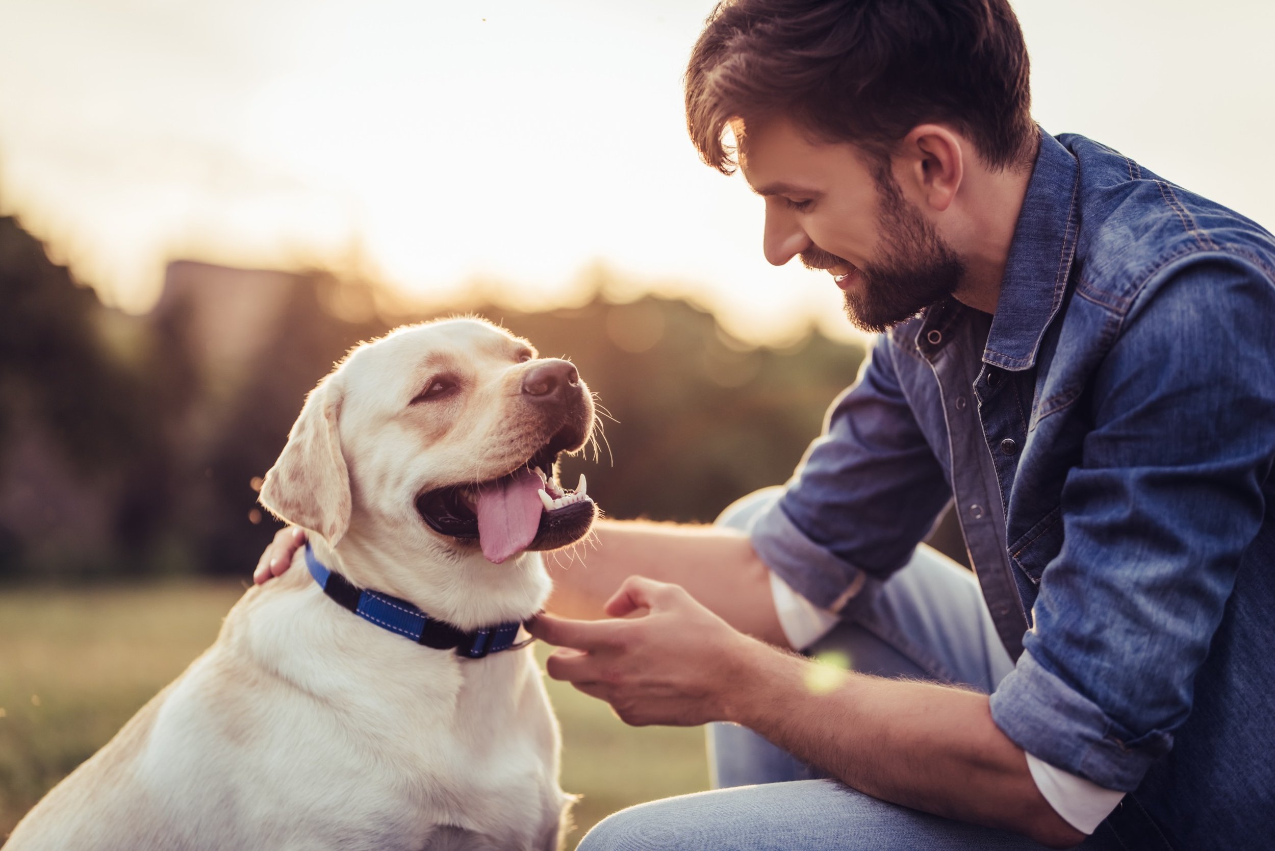Myth of the Alpha Male