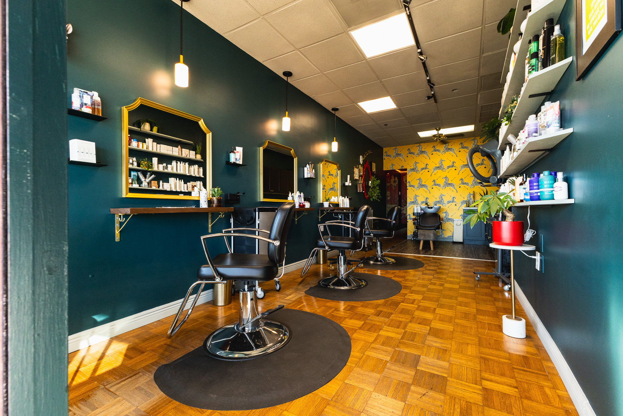 What to Expect at Mich and Mane Hair Co.