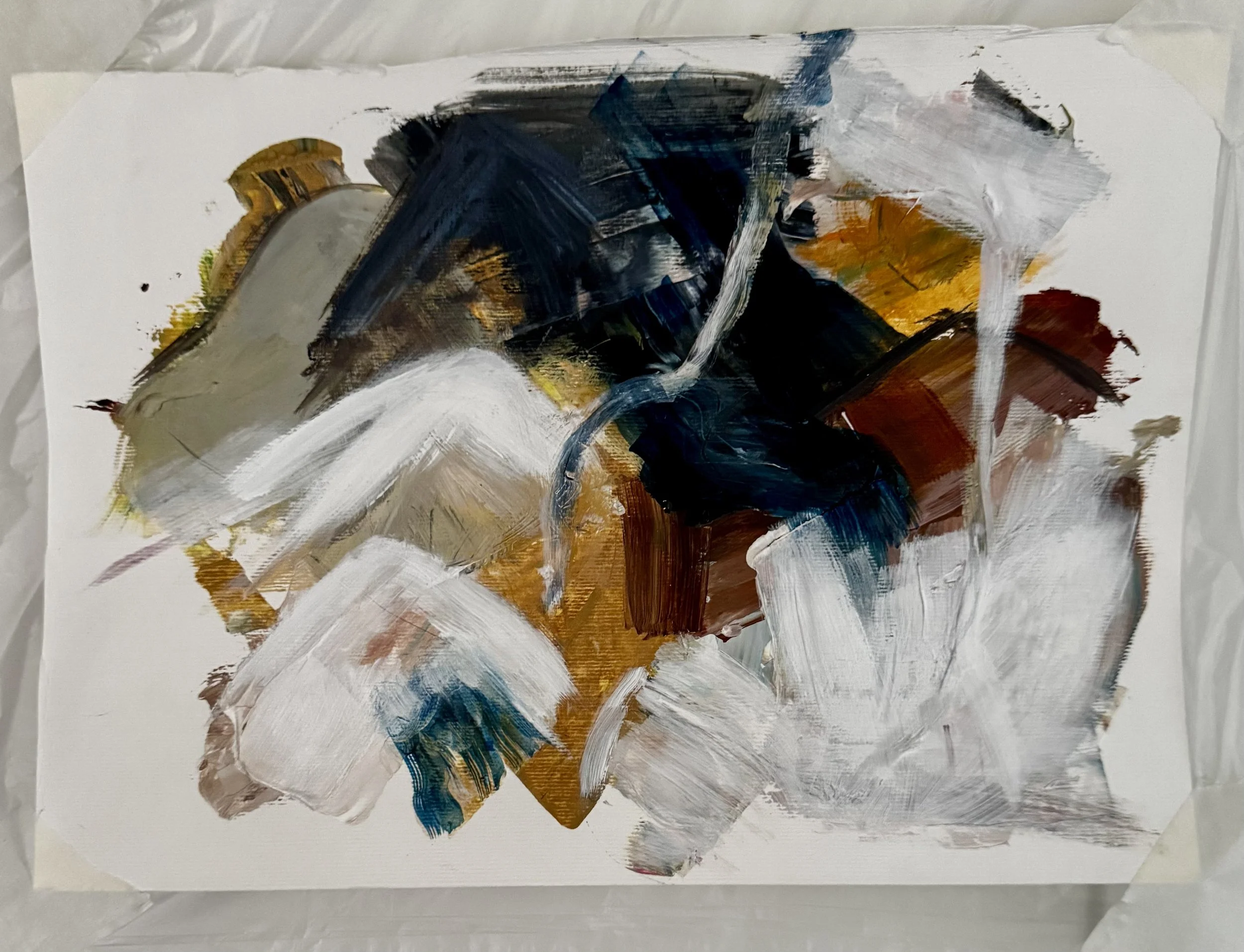 Spring in The Rees Valley — small acrylic study on unstretched canvas.

Reflecting the view from our friends' cabin, where we've spent many happy days, this brings to life the snow-covered mountains, the rain melt, swelling rivers and waterfalls of s