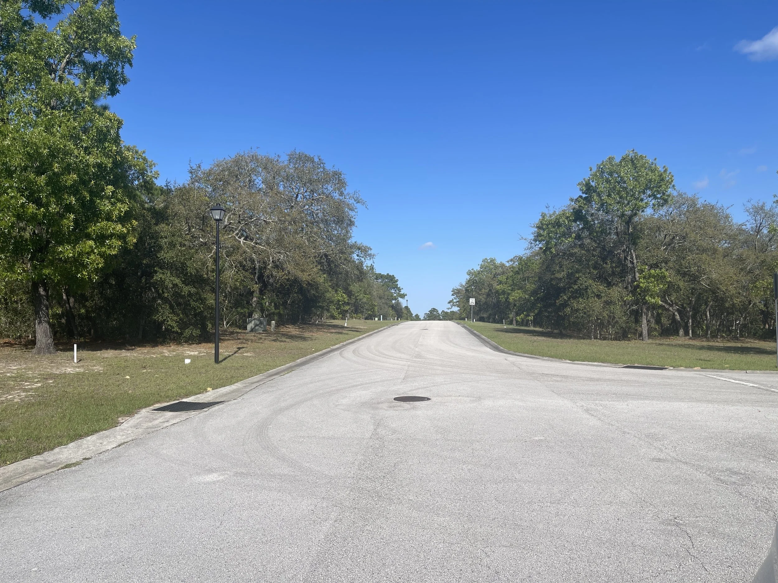 A paved road extending into the distance, flanked by green trees on both sides under a clear blue sky.
