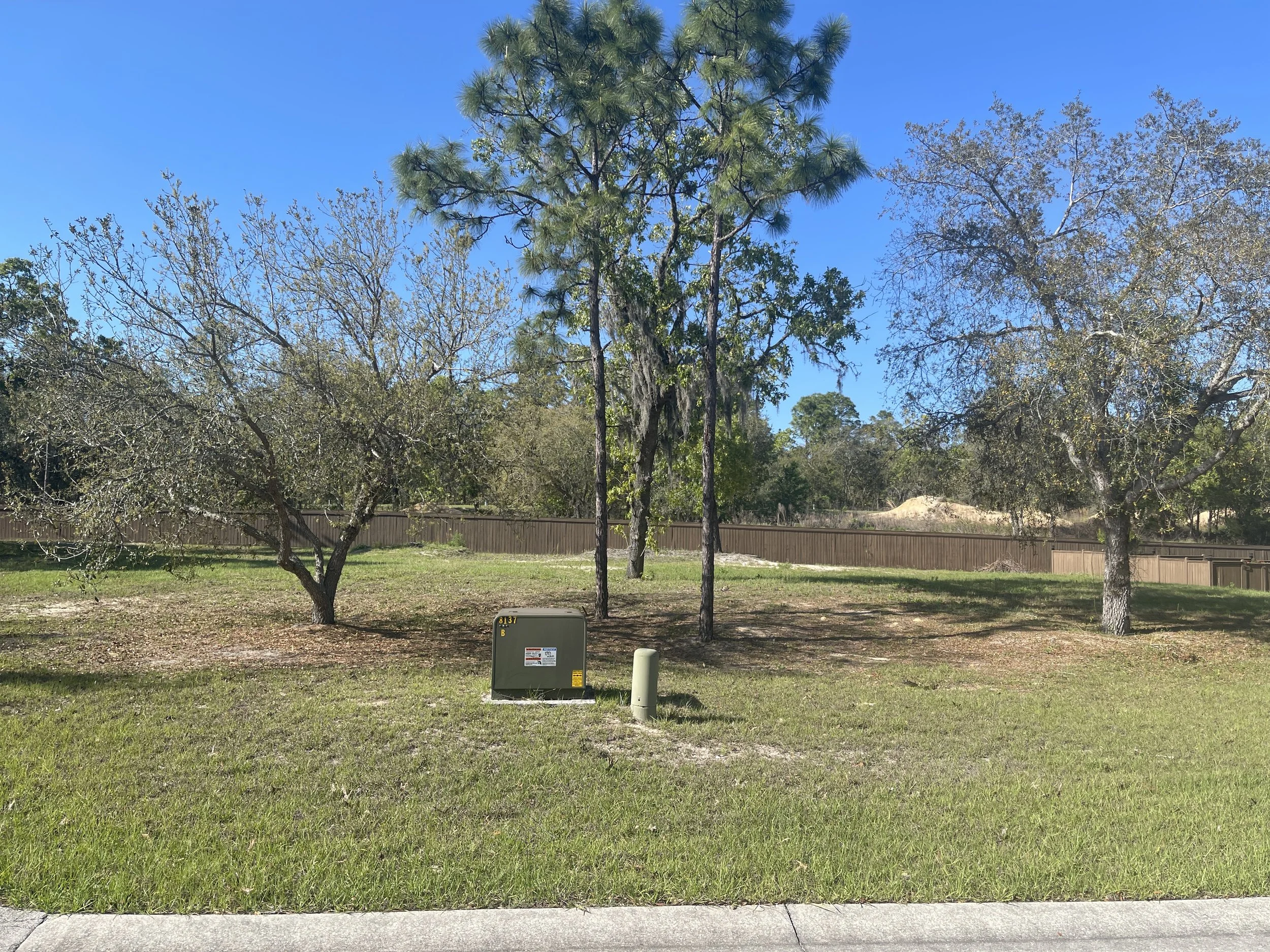 A grassy area with several trees behind a brown wooden fence, with a small utility box and a gray utility pole near the curb in the foreground, under a clear blue sky.