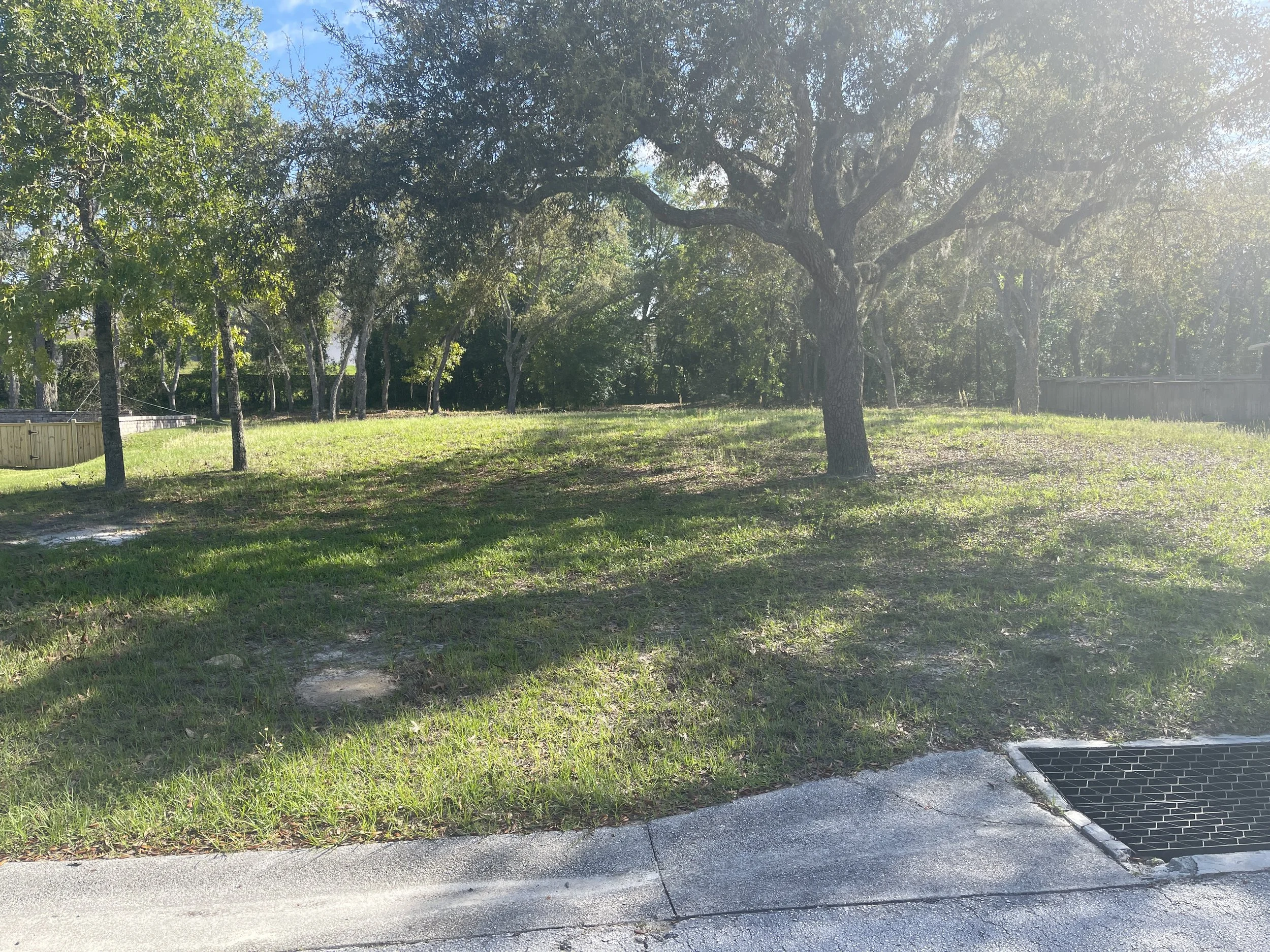 A grassy area with trees and a sidewalk, sunlight filtering through the leaves, and a drainage grate on the sidewalk.
