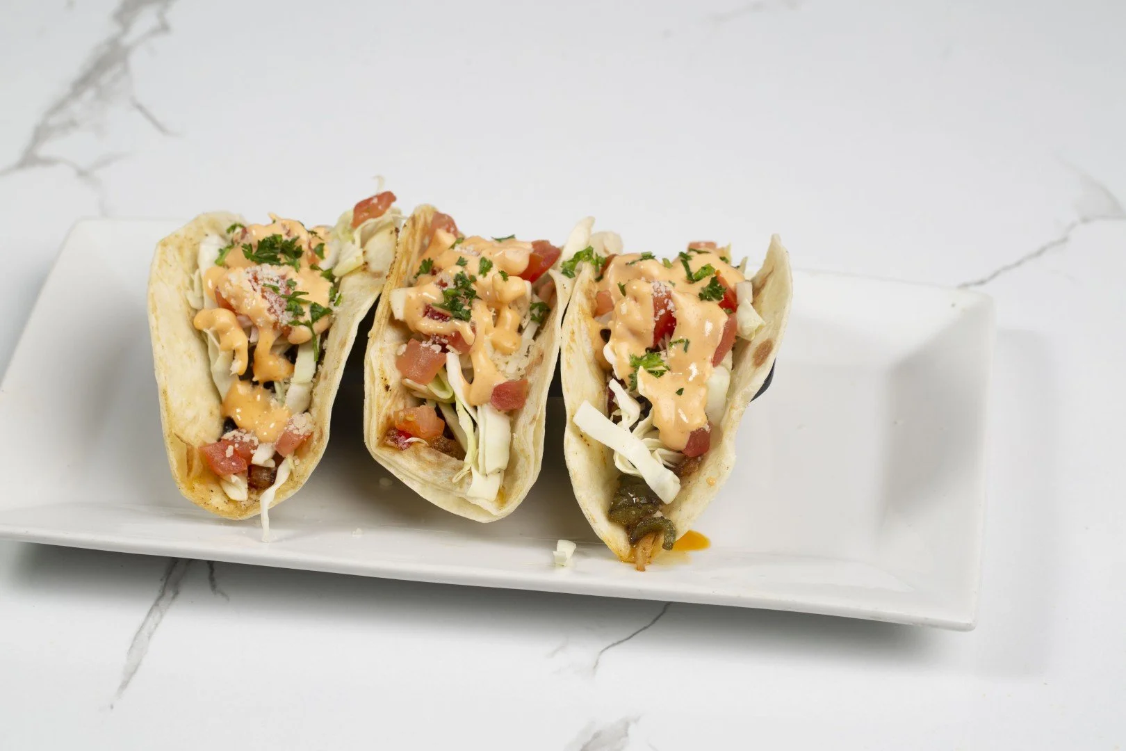 267A9668 (Large).JPG