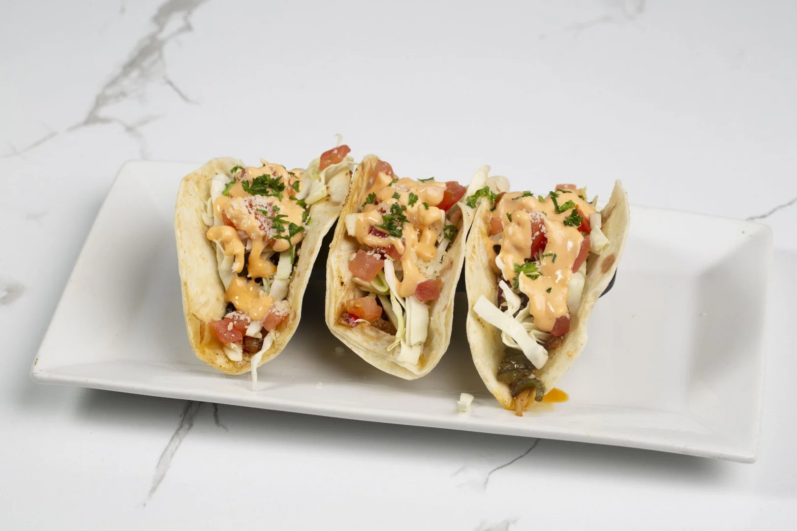 267A9670 (Large).JPG