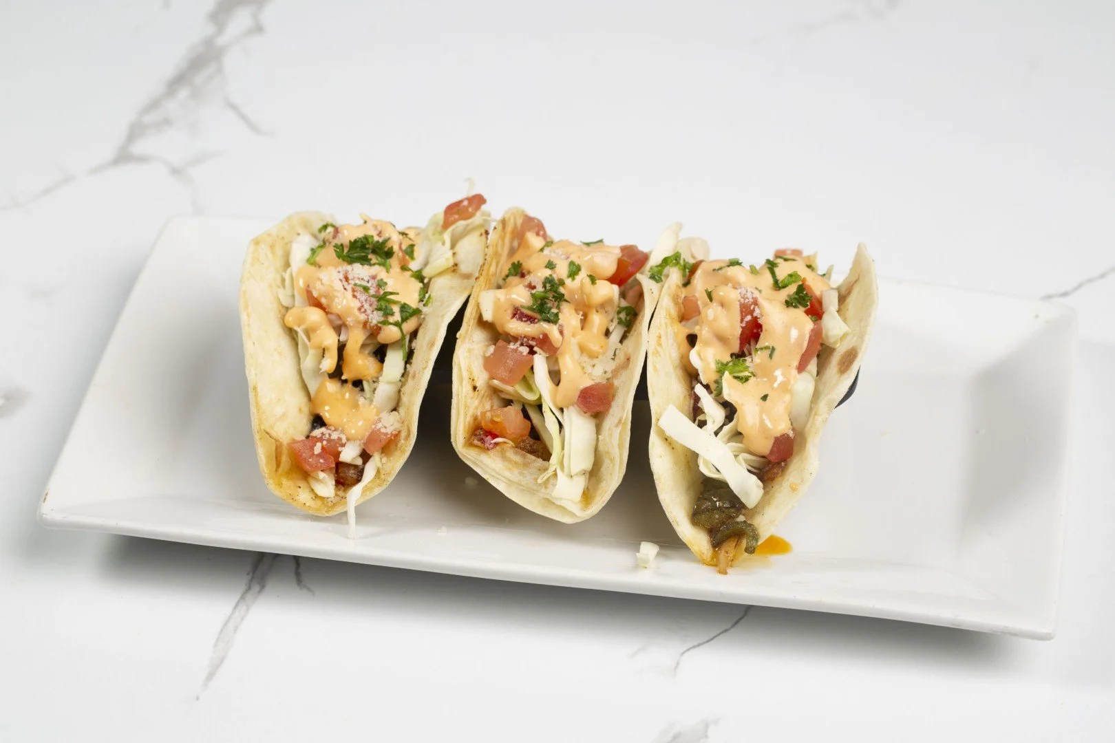 267A9669 (Large).JPG