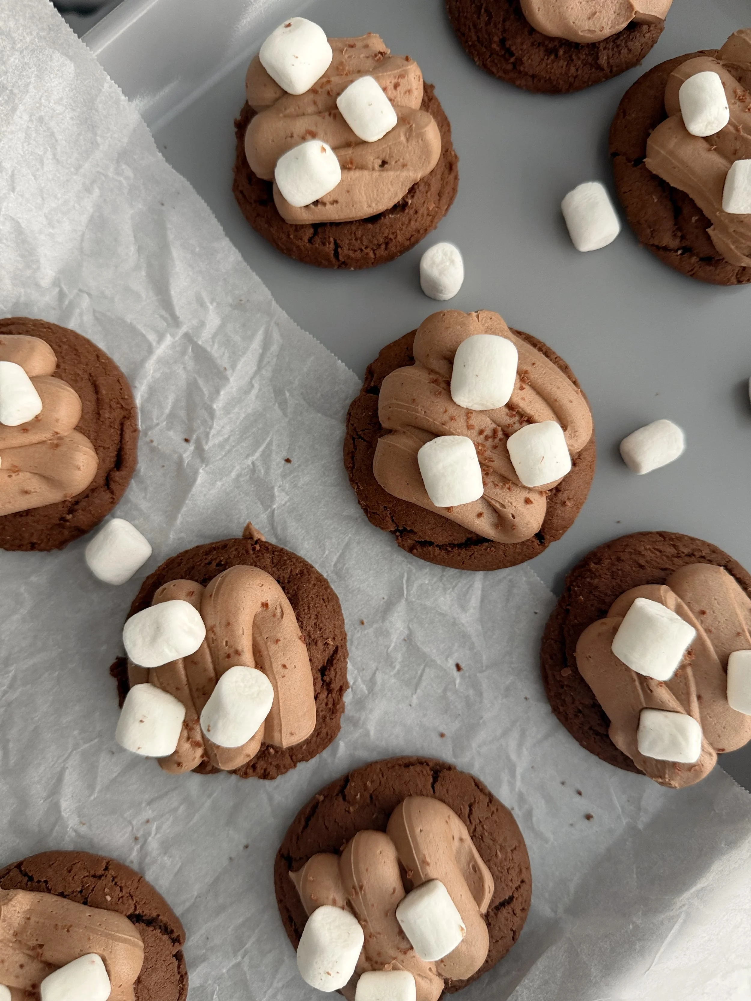 Frozen Hot Chocolate Cookies