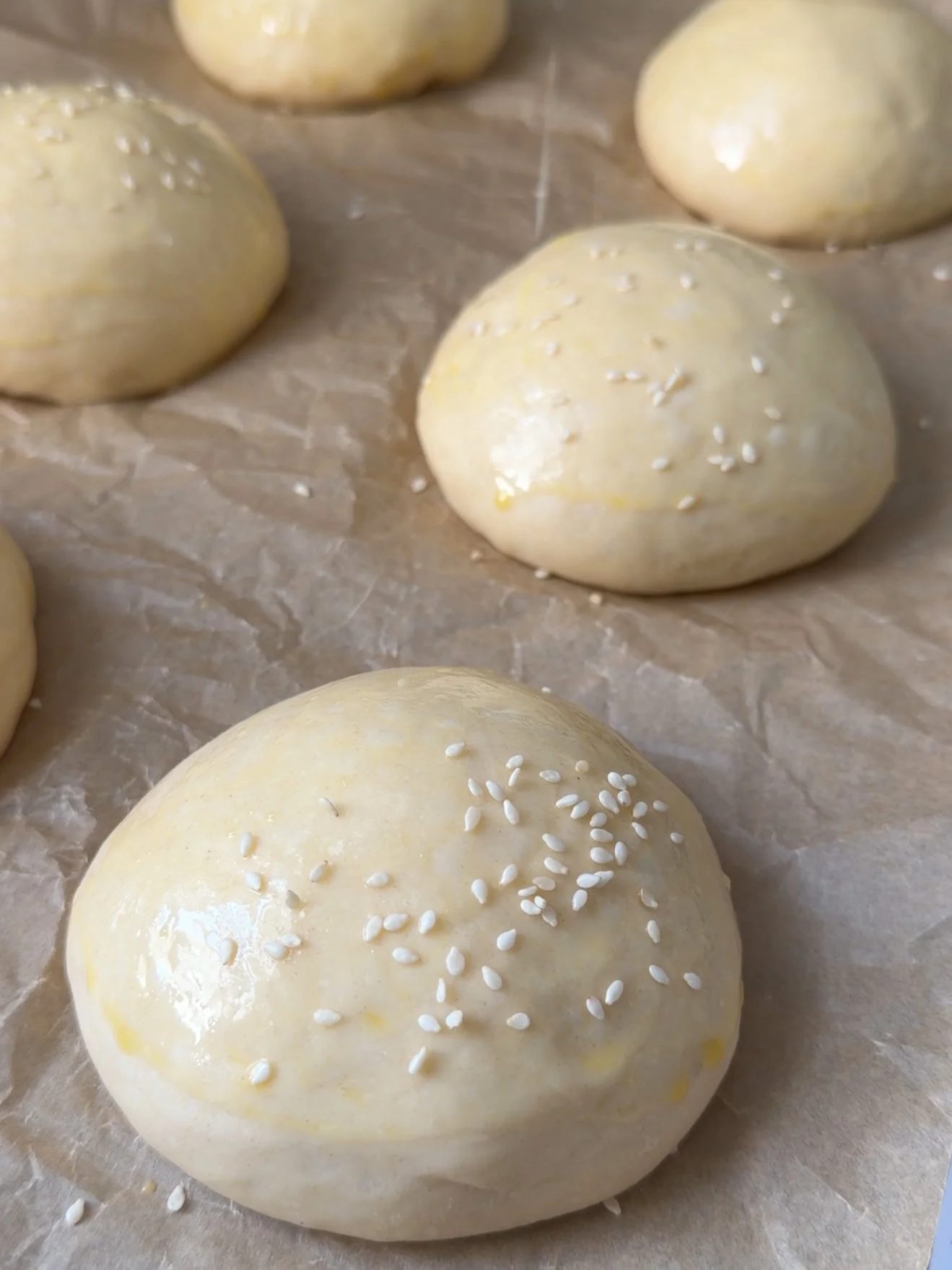 proofed hamburger buns with sesame seeds on top