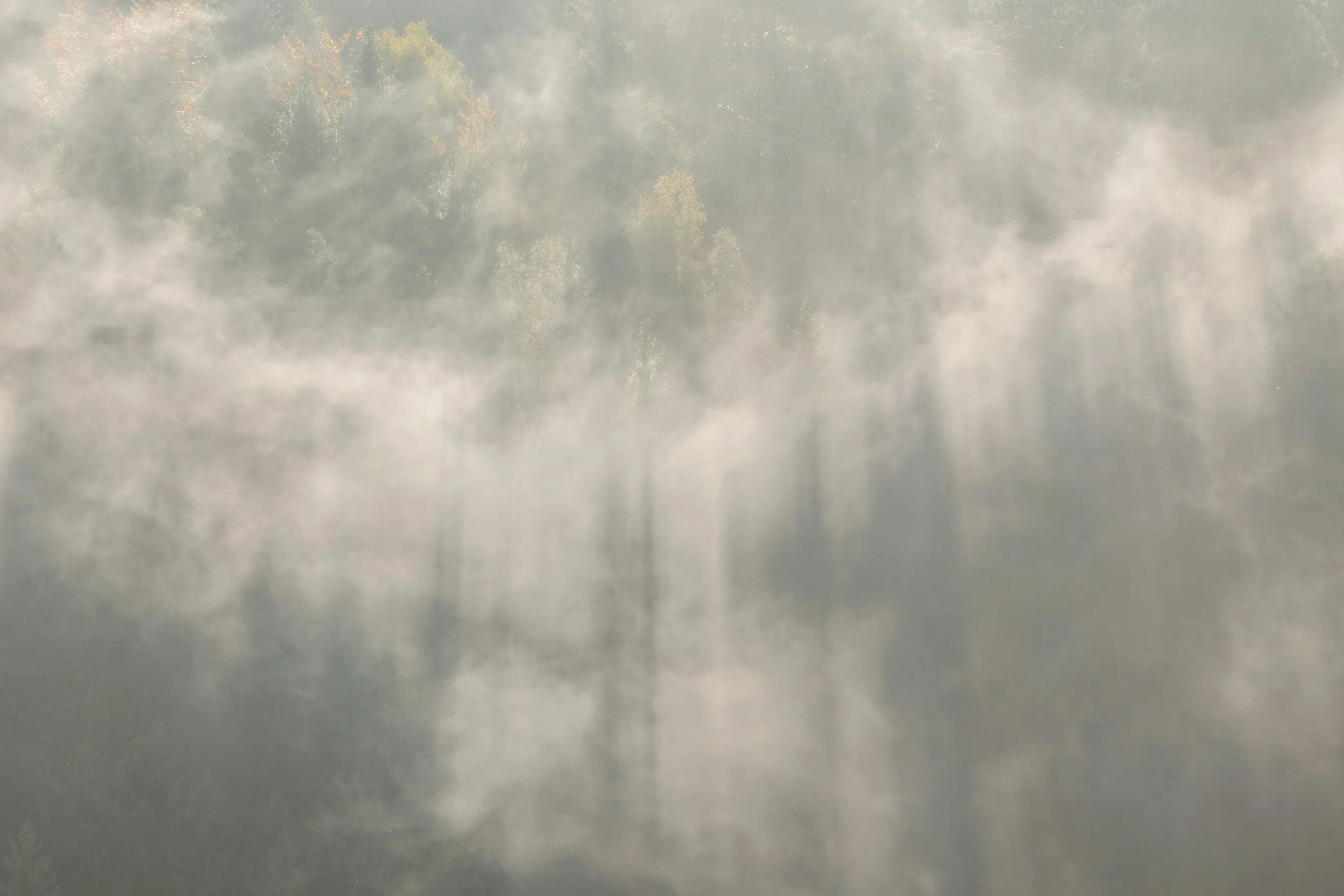 Too Much Certainty Begins to Feel Like Pollution