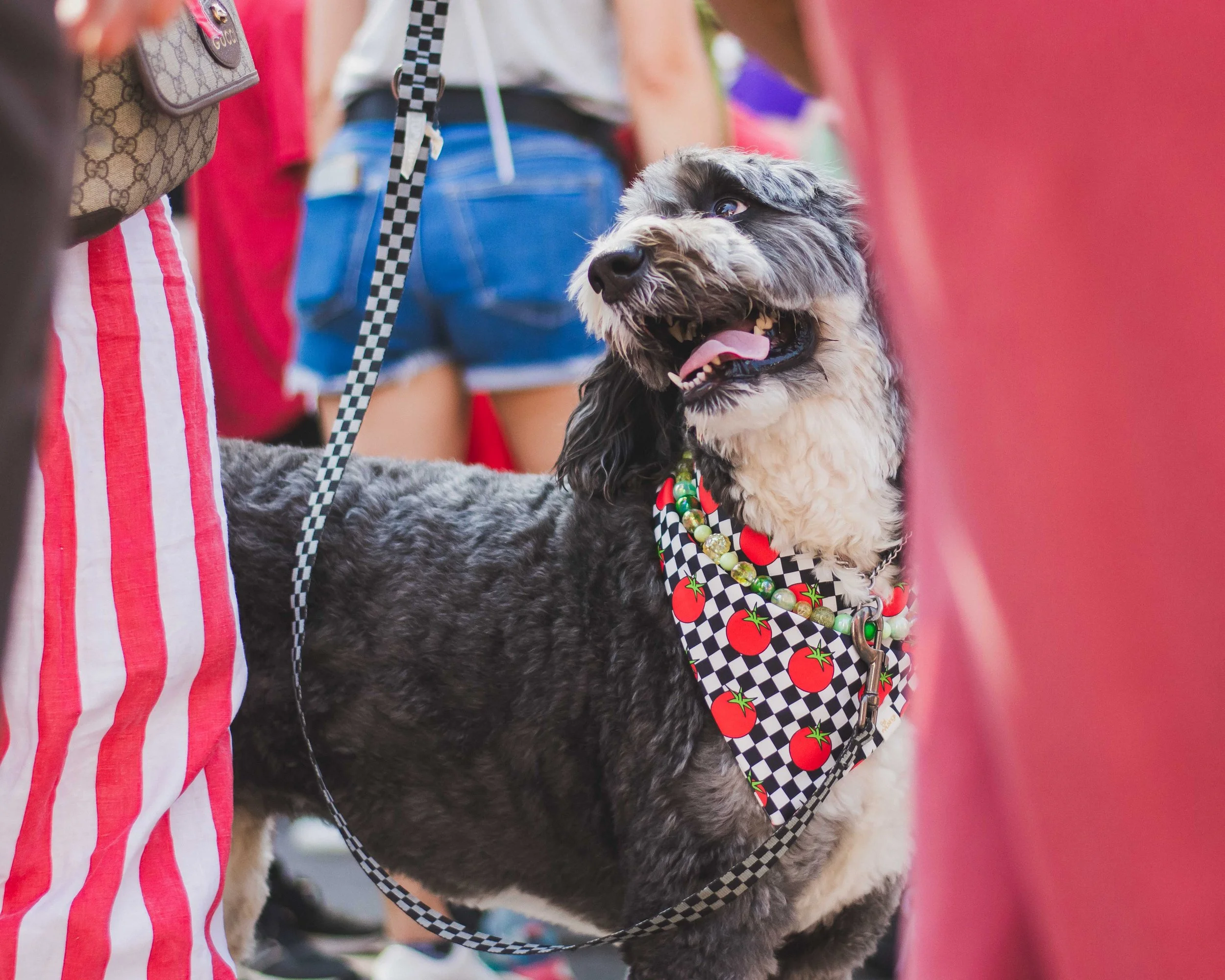 Tomato Art Fest-34.jpg