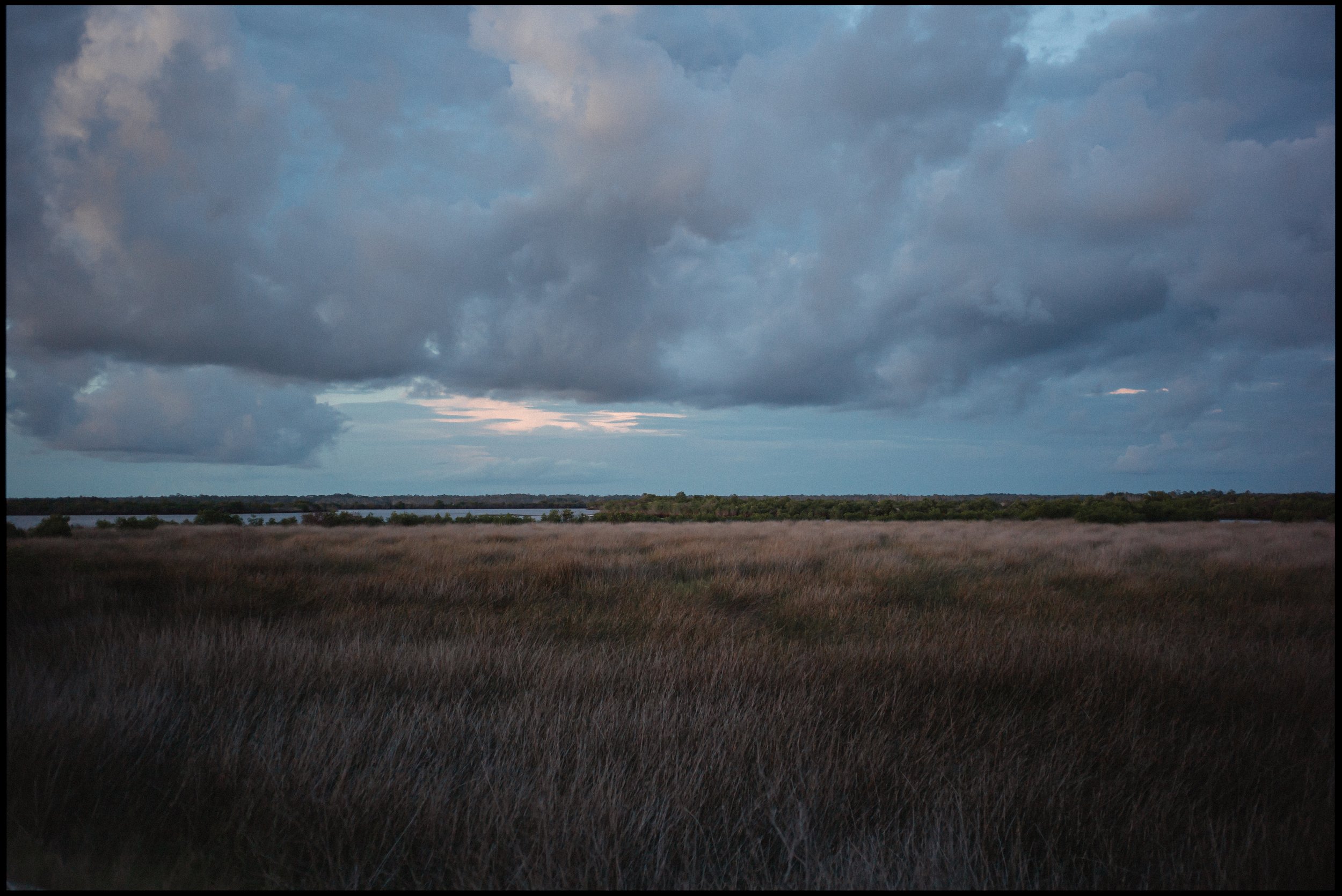 L1005609.jpg