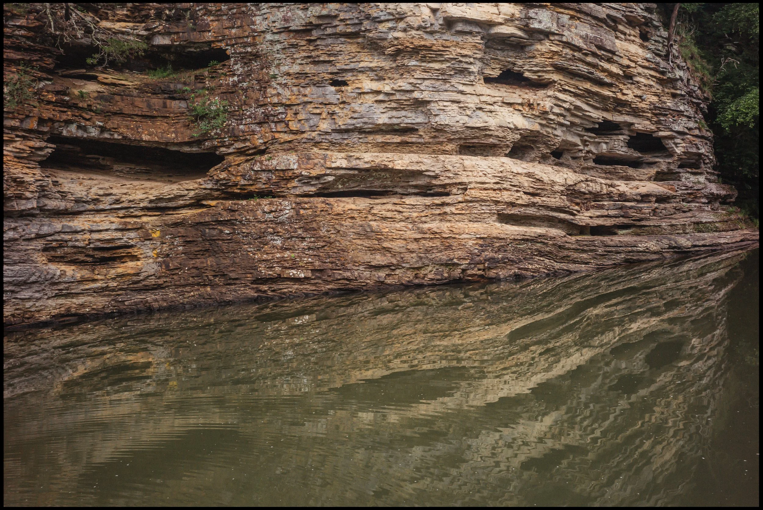 L1005727.jpg