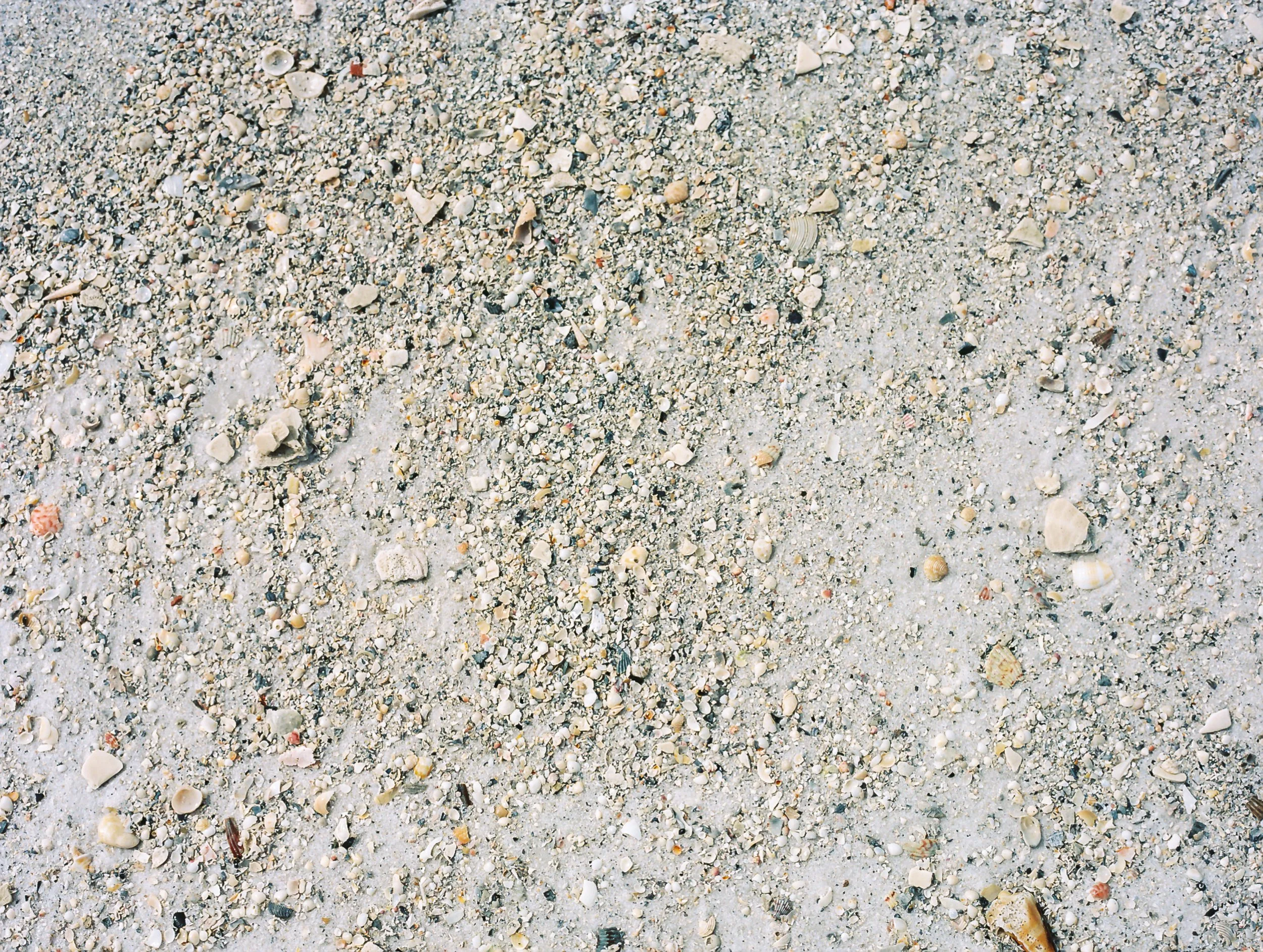 R1-01256-0000.jpg