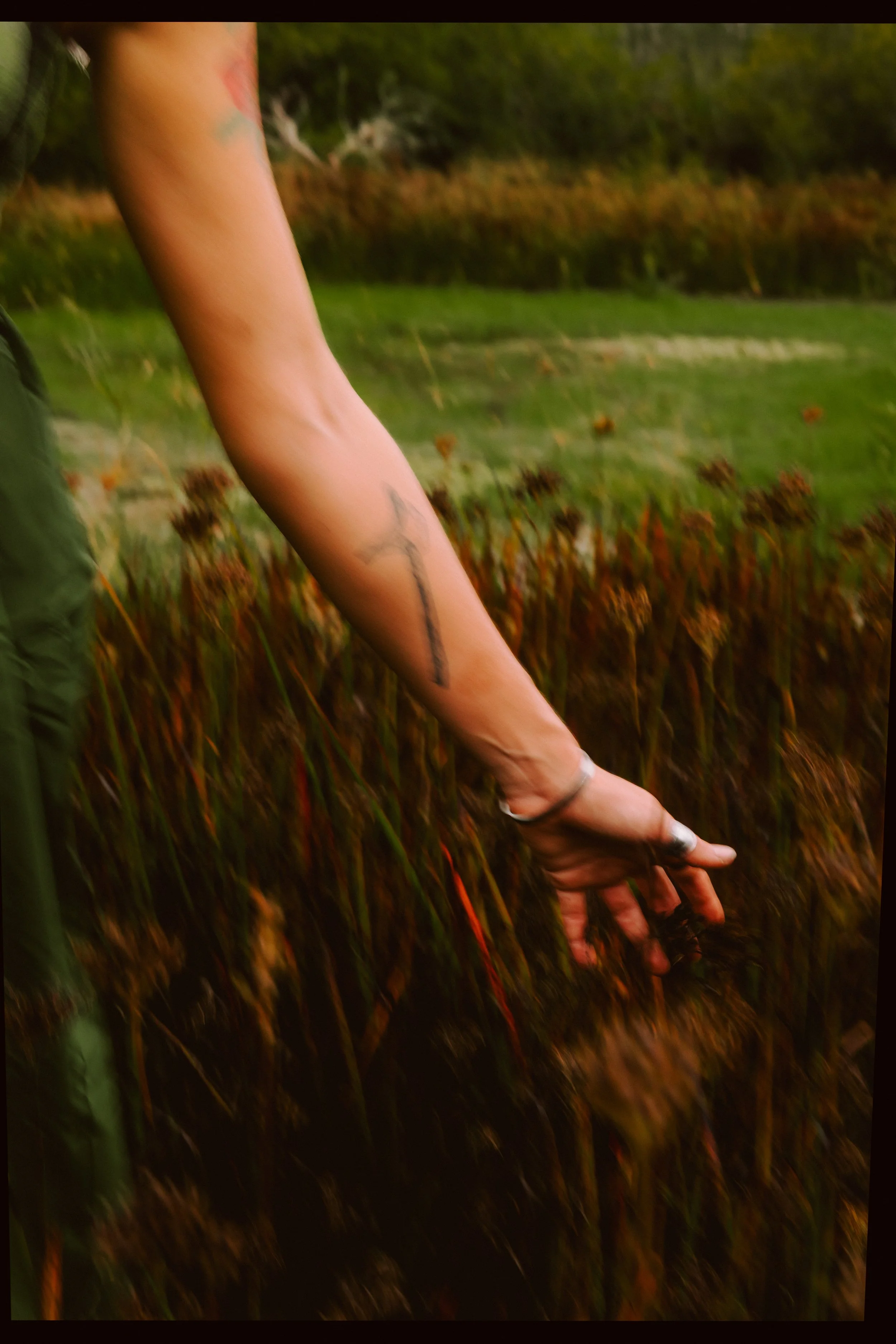 A person with a tattooed arm reaching down to touch the ground in a field of dried plants, with a grassy area and trees in the background.