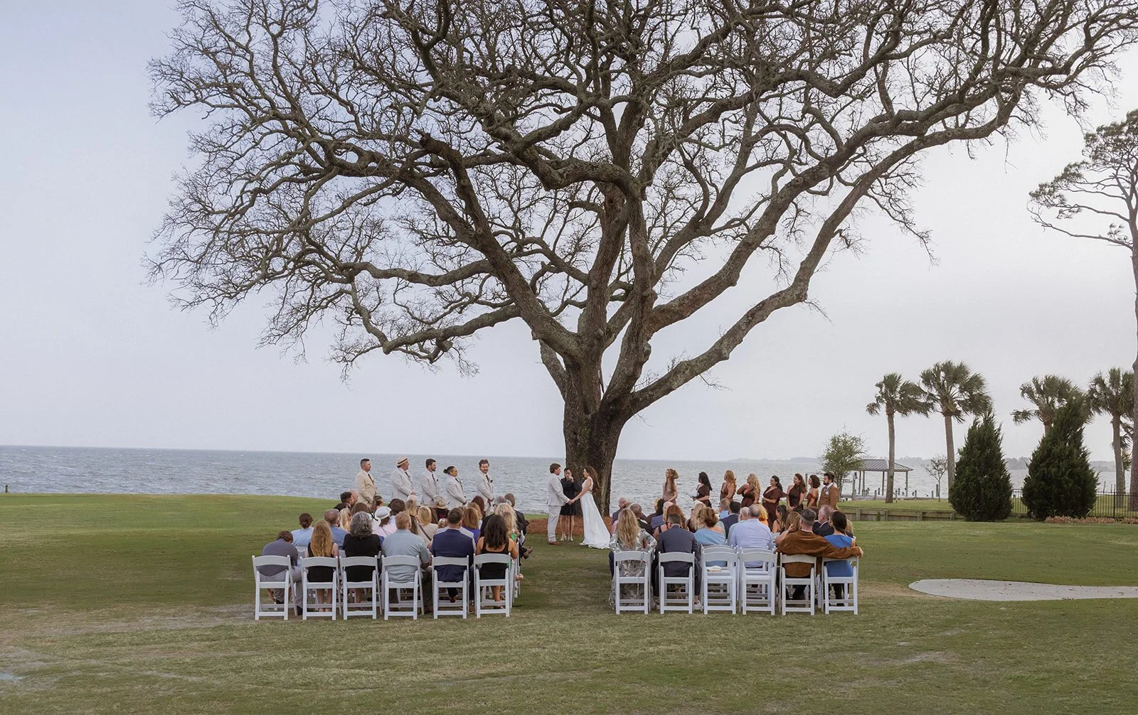 A wedding ceremony taking place outdoors under a large leafless tree near a body of water, with guests seated on white chairs and the bride and groom holding hands at the altar.