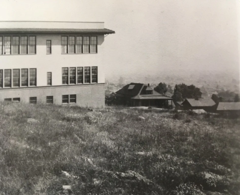 Black and white photo of a house and other residential buildings on a hill with grass and wildflowers in the foreground.