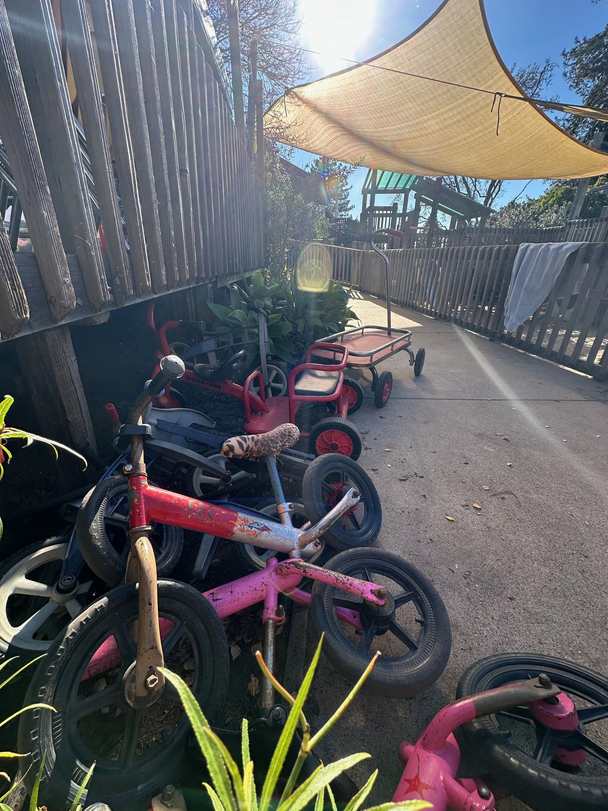A collection of children's tricycles and bikes leaning against a wooden fence on a paved outdoor area, with a shade sail overhead and trees and structures in the background.