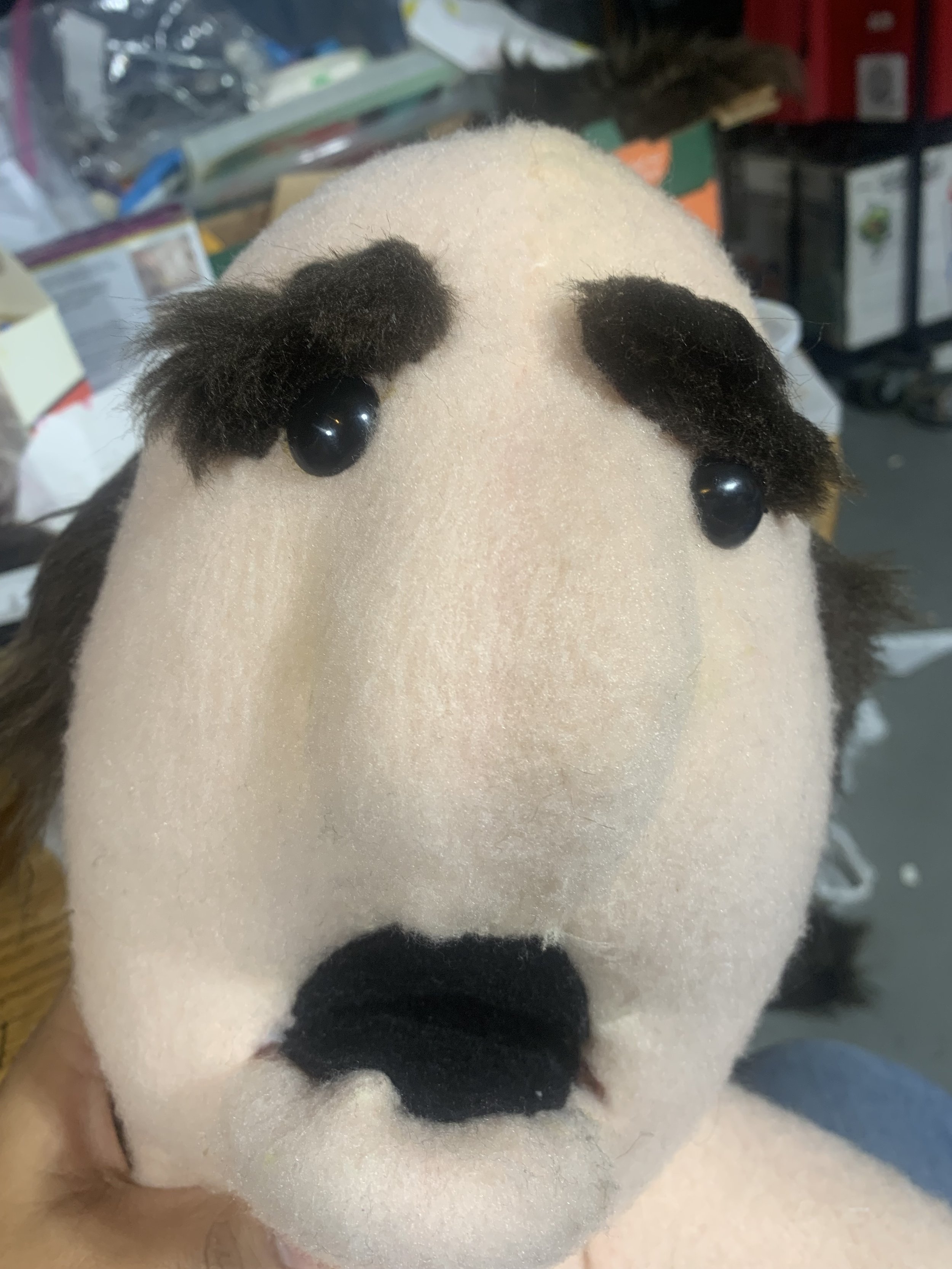 head with facial features attatched