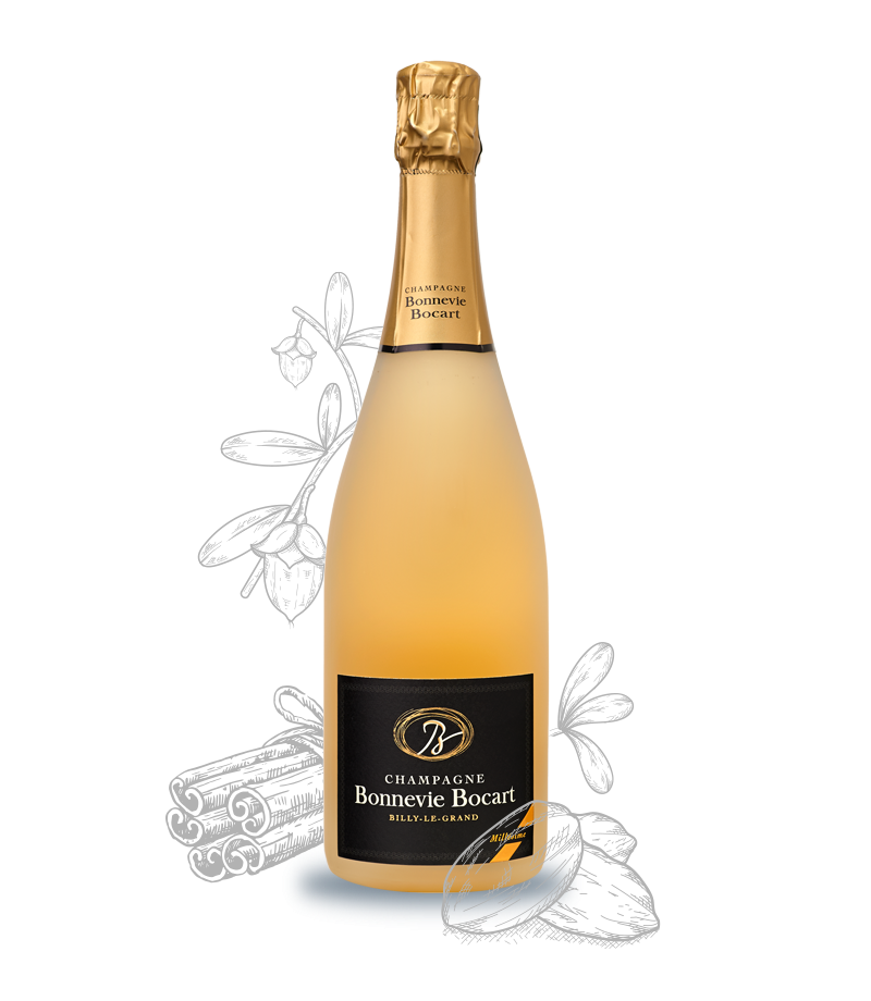 BB BLG Champagne.jpg