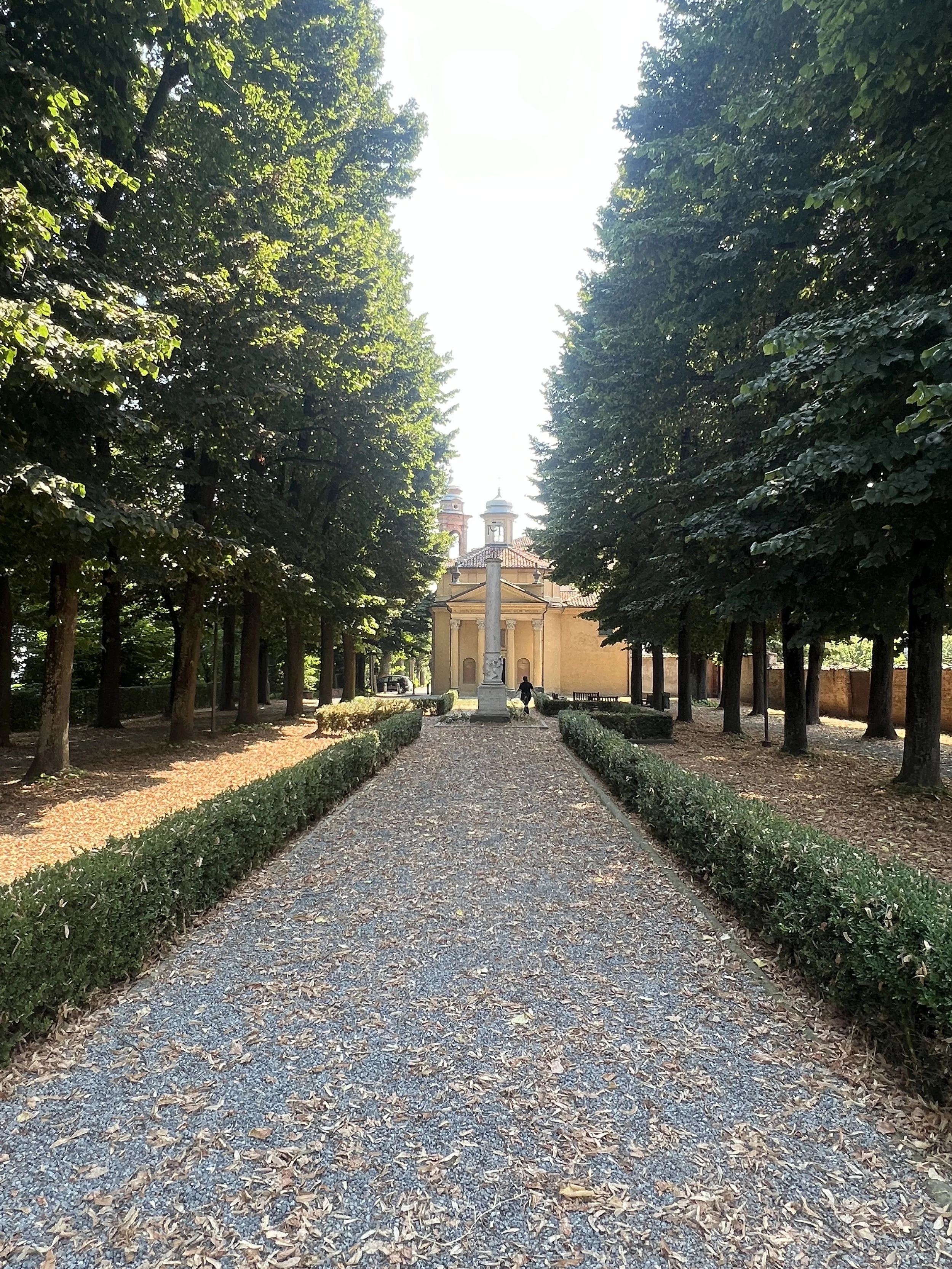 A pathway lined with trimmed bushes and tall trees leading to a classical building with columns and domes in the distance, under a clear sky in Cherasco.