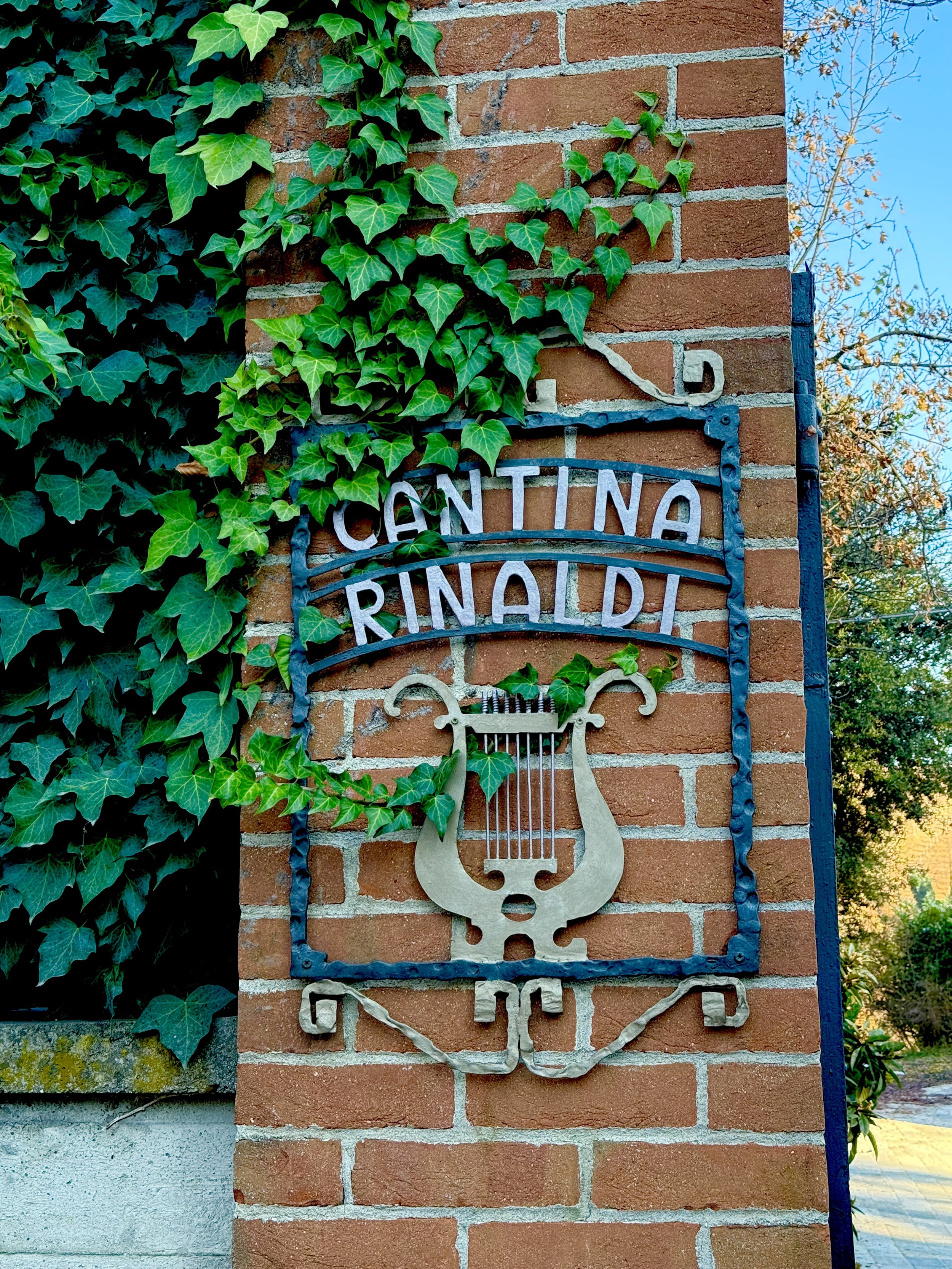 A metal sign on a brick wall reads 'CANTINA RINALDI' and has a lyre design below the text. Green ivy covers part of the wall and surrounds the sign.