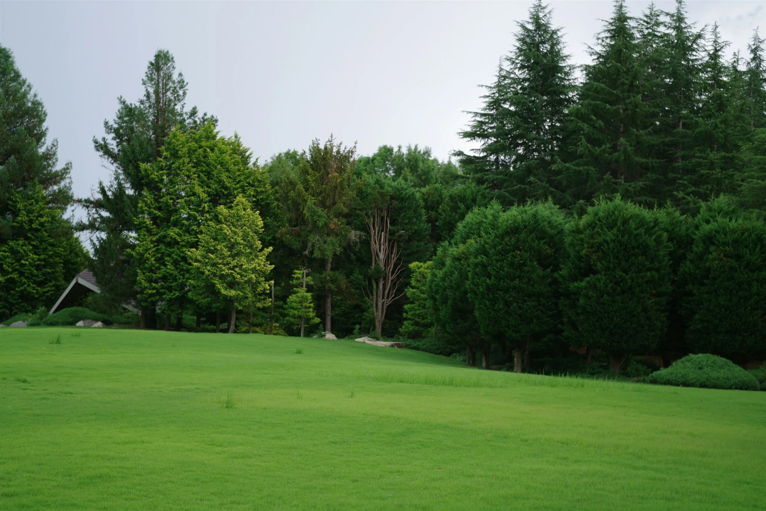6 Week Golf Therapy Program (April-June)