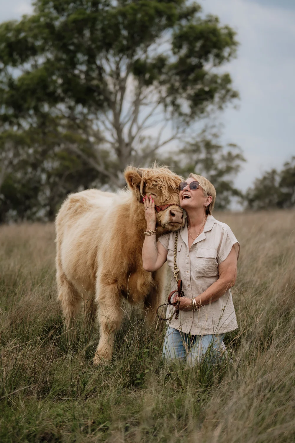 Home | Discover Highland Cattle Tours