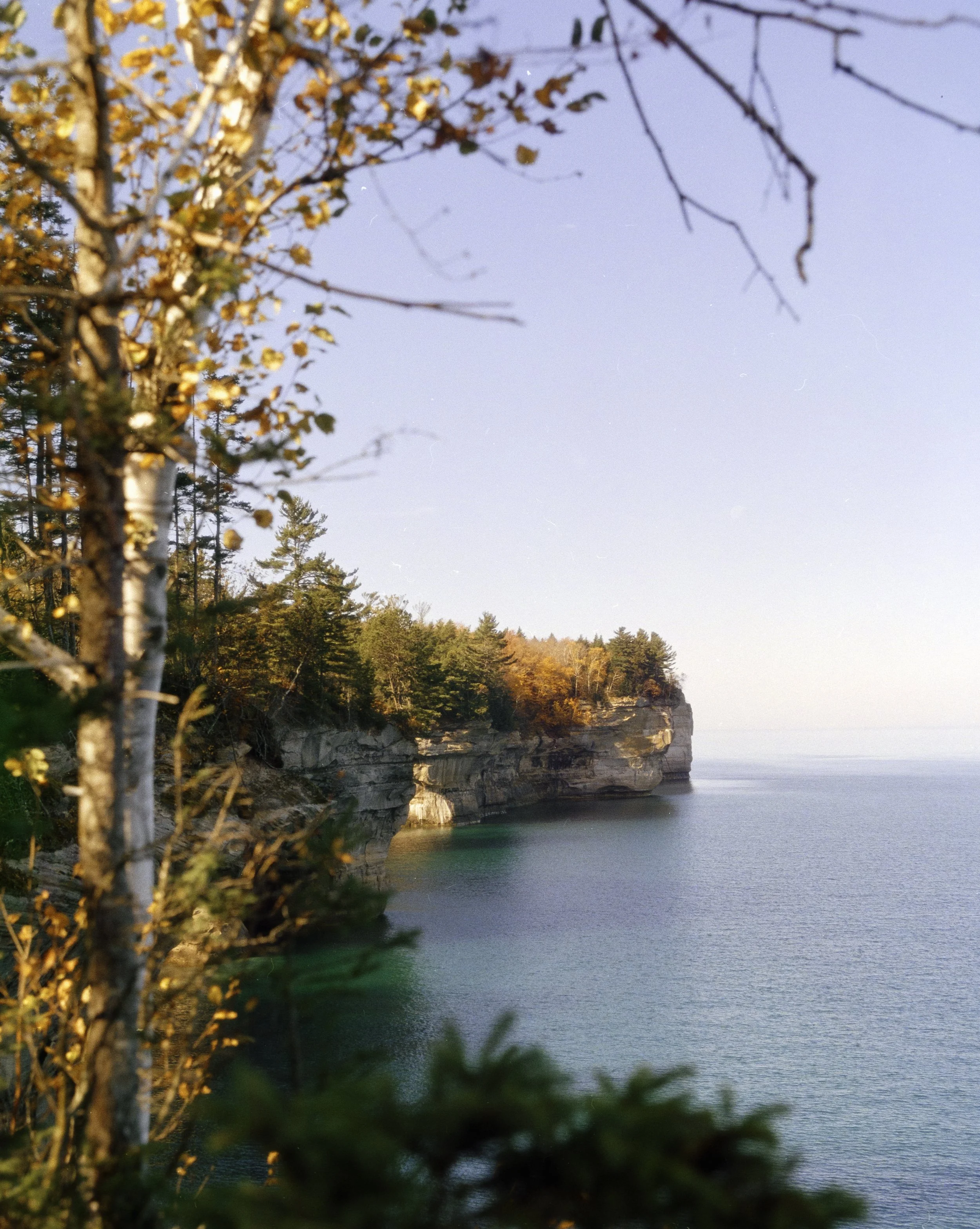 11.25.24 mich beyond-1-12.jpg