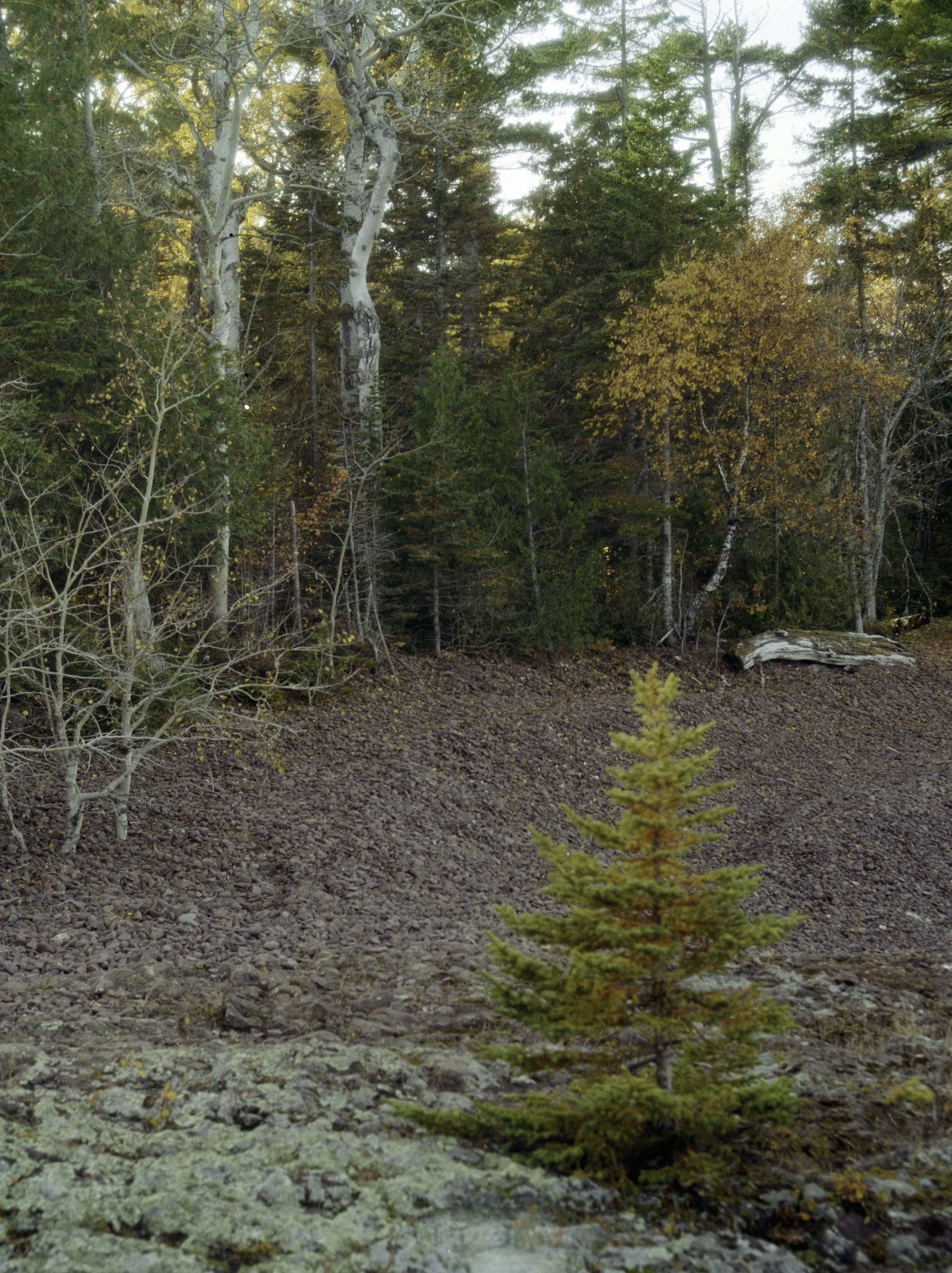 11.25.24 mich beyond-1.jpg