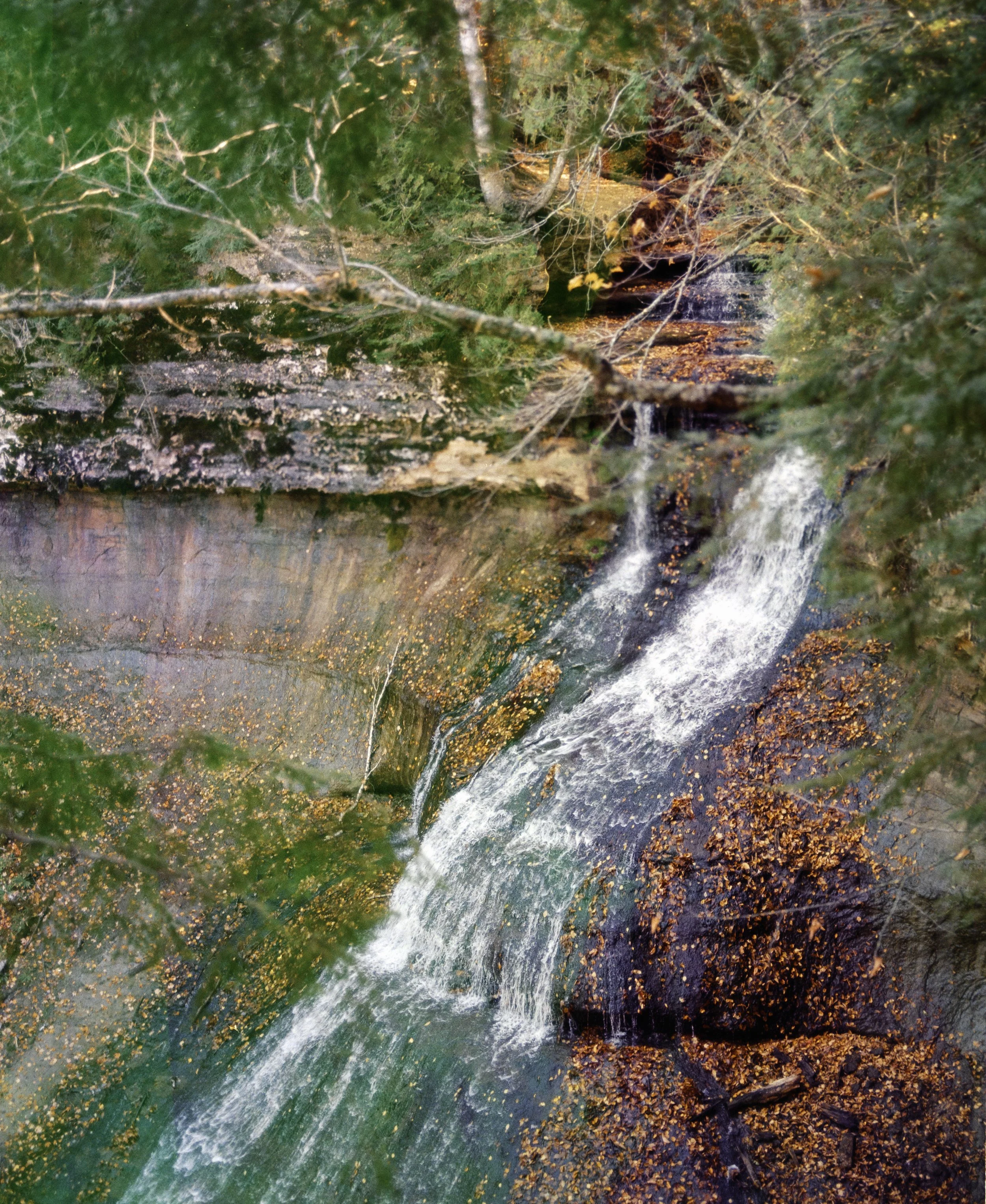 11.25.24 mich beyond-1-10.jpg