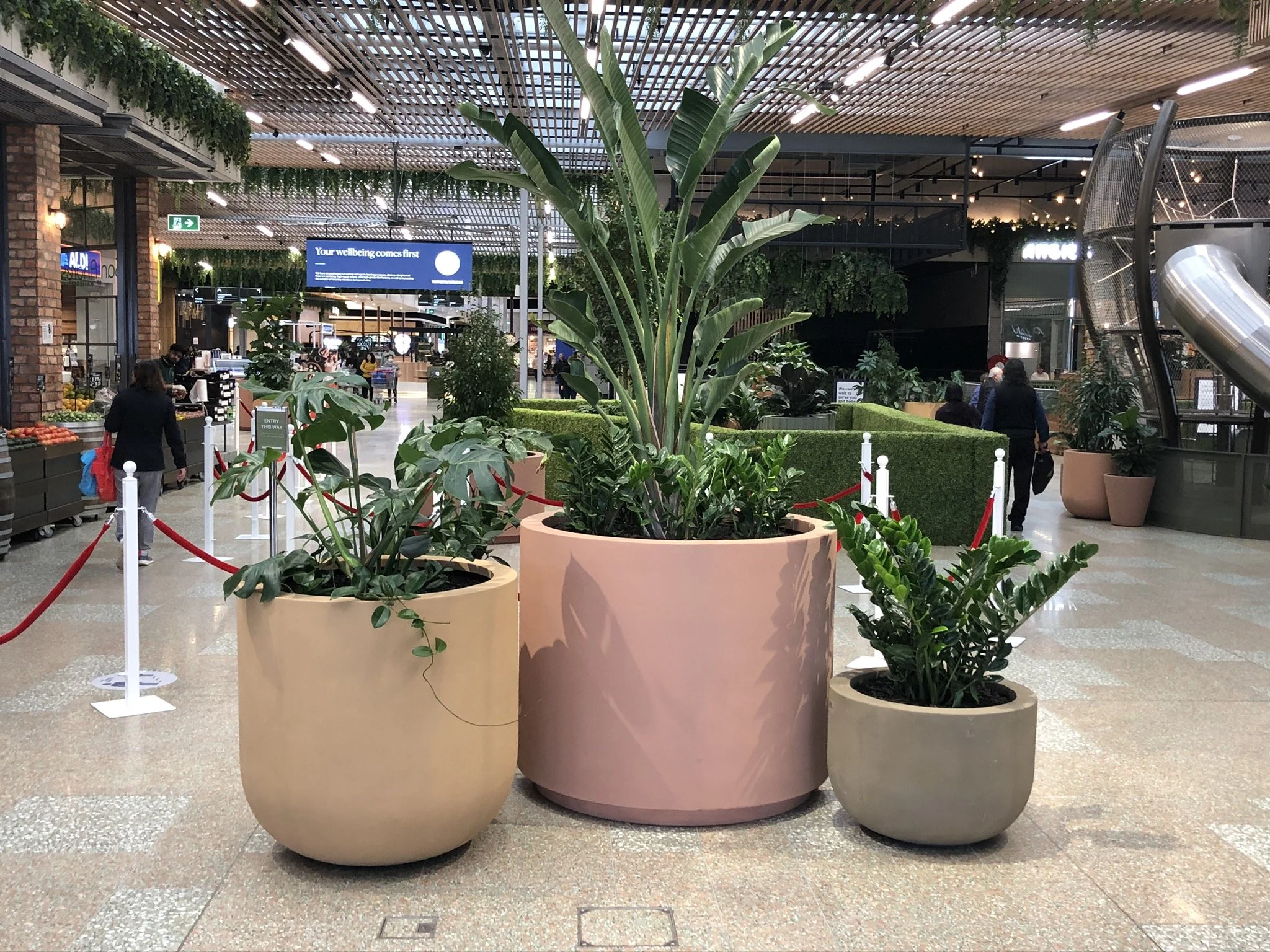 The Solutions Approach to Sourcing GRC Planters The Solutions Approach to Sourcing GRC Planters