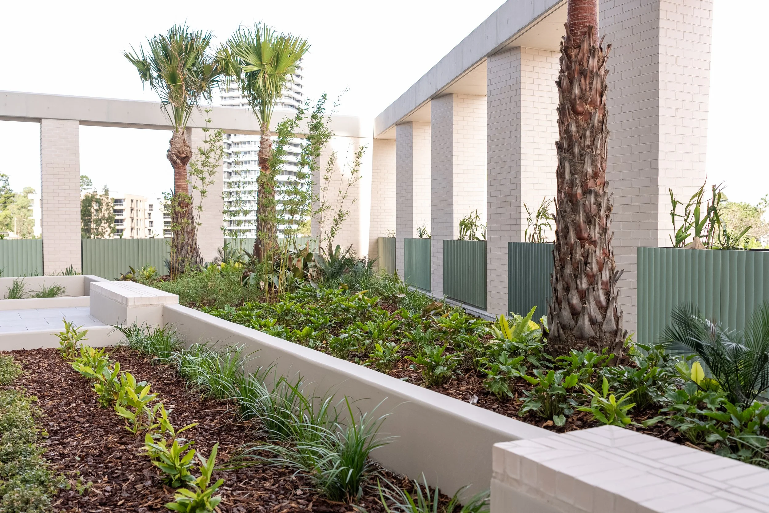 Urban balcony garden with palm trees, various plants, GRC planters and a modern white brick building in the background.