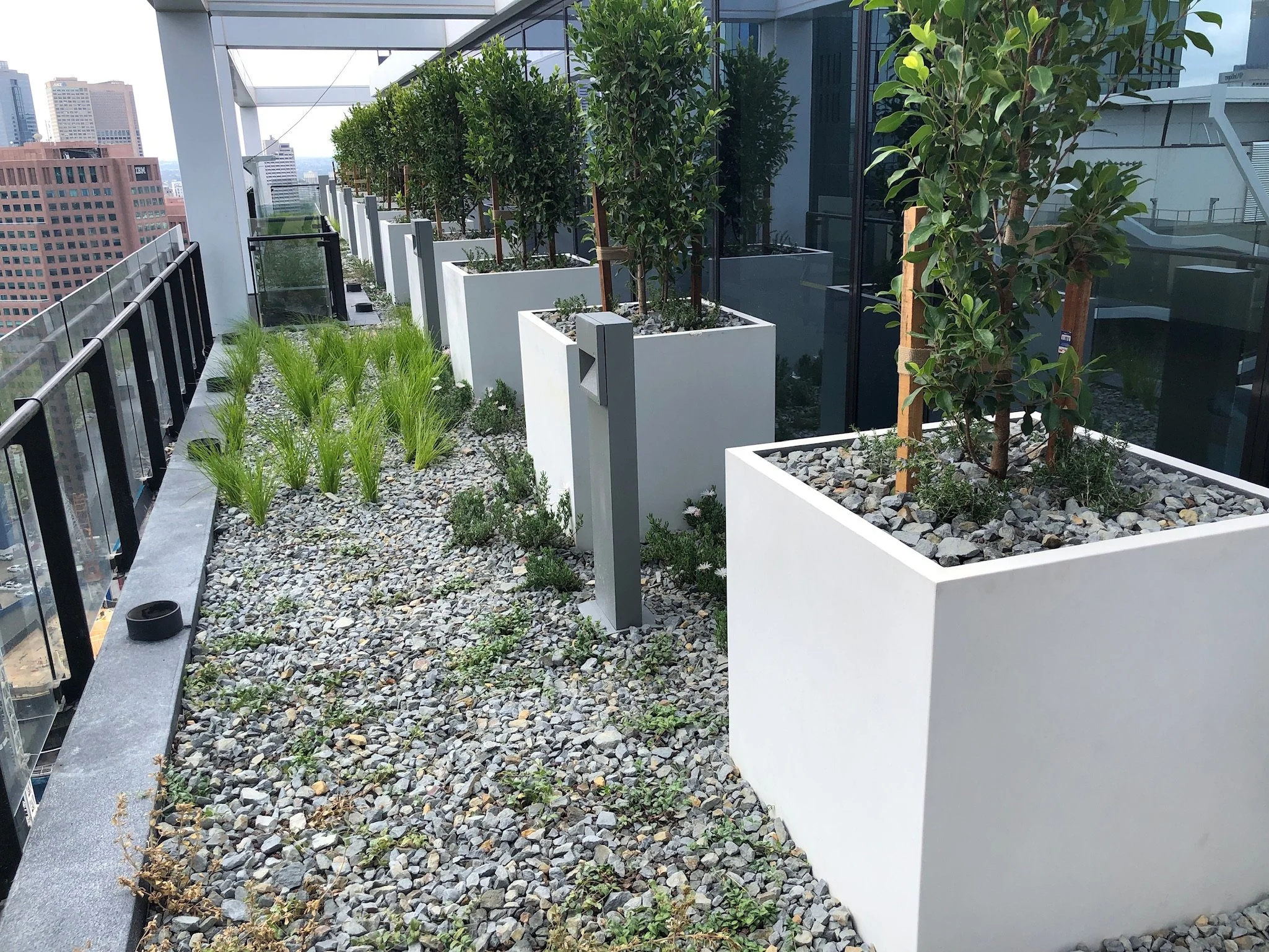 White GRC planter boxes with vegetation arranged in a row outside a high-rise building