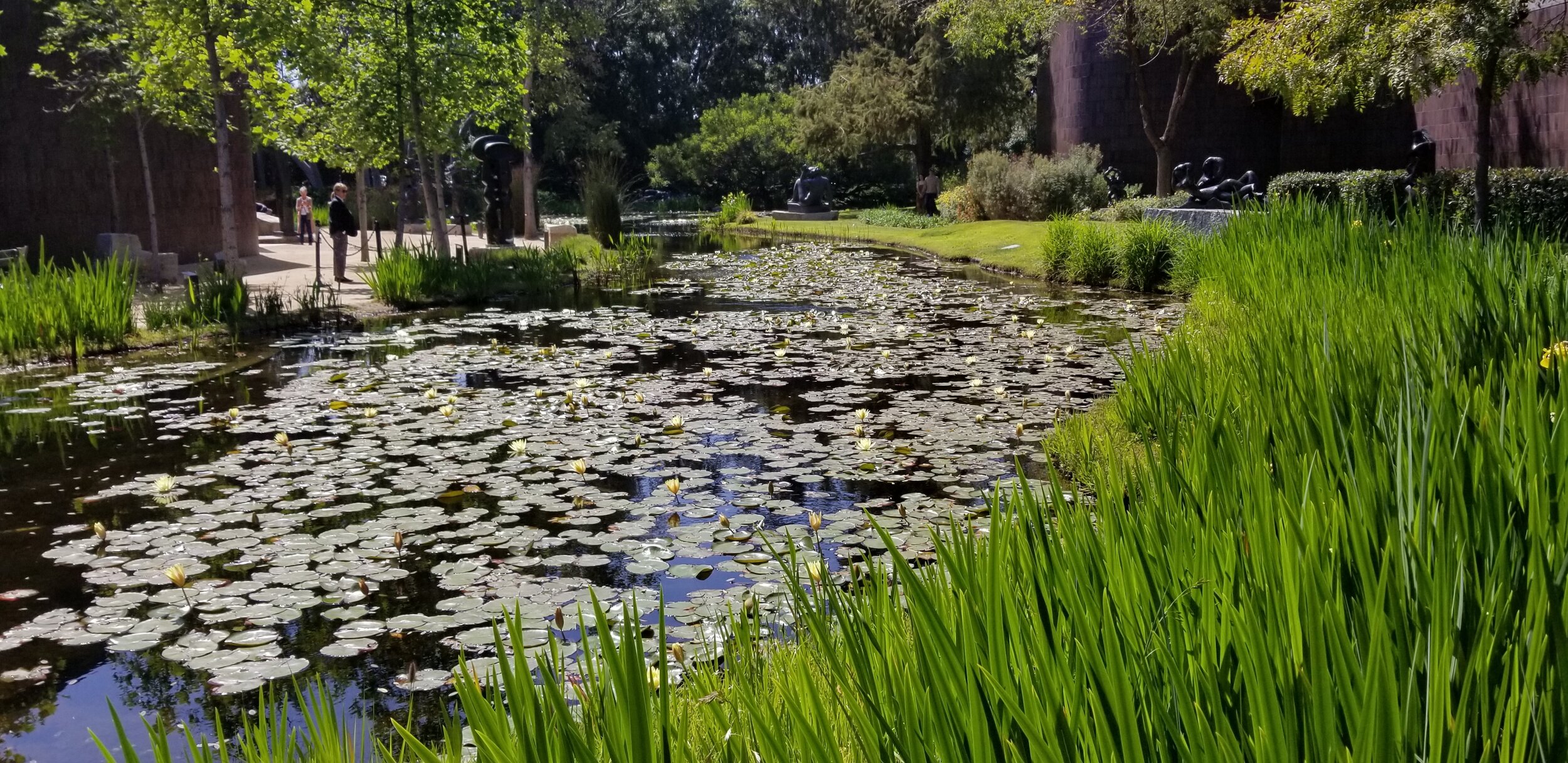 Old but Gold Vol. 1: Flower's and a Museum Garden