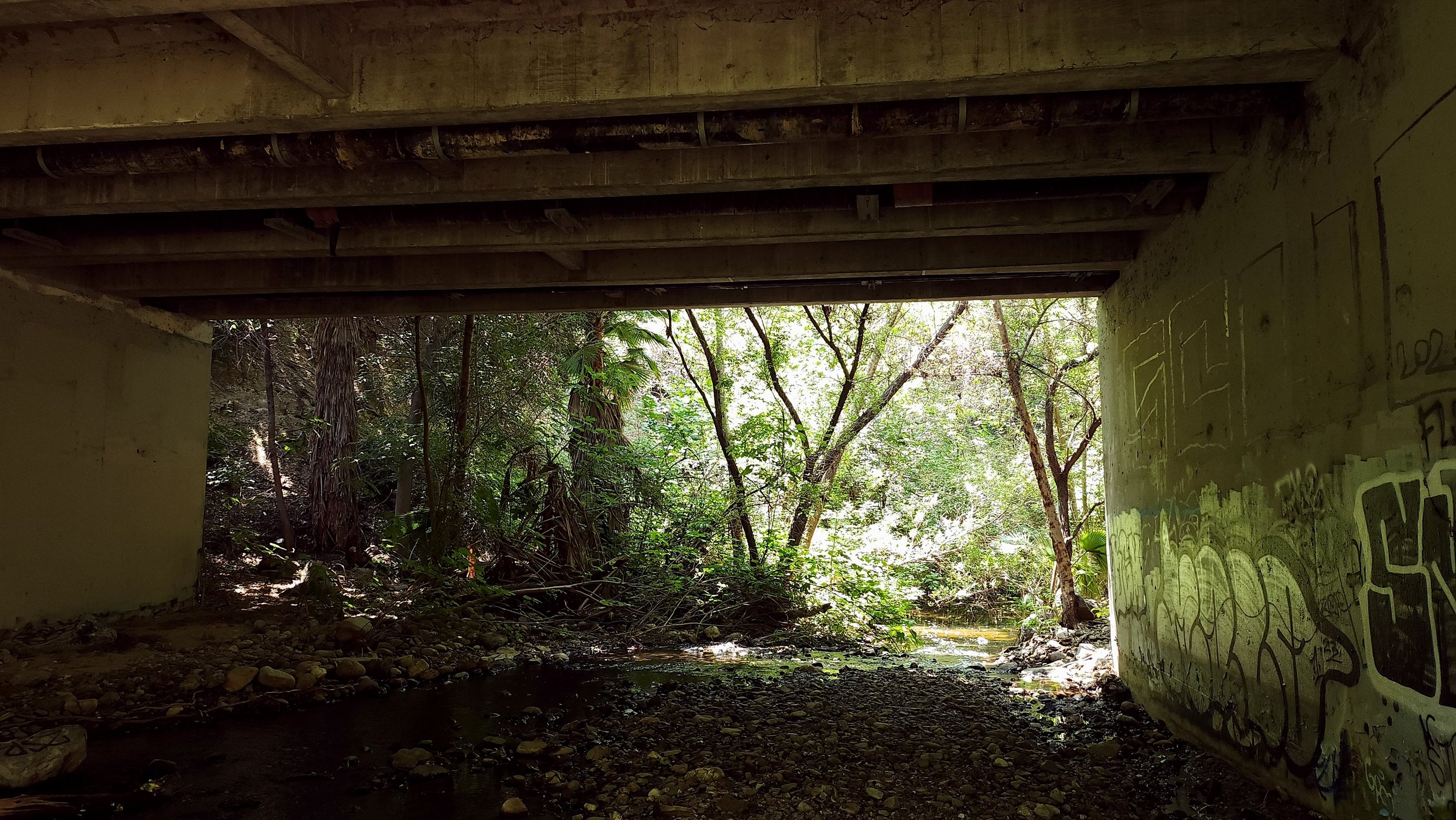 A Day on the Trail