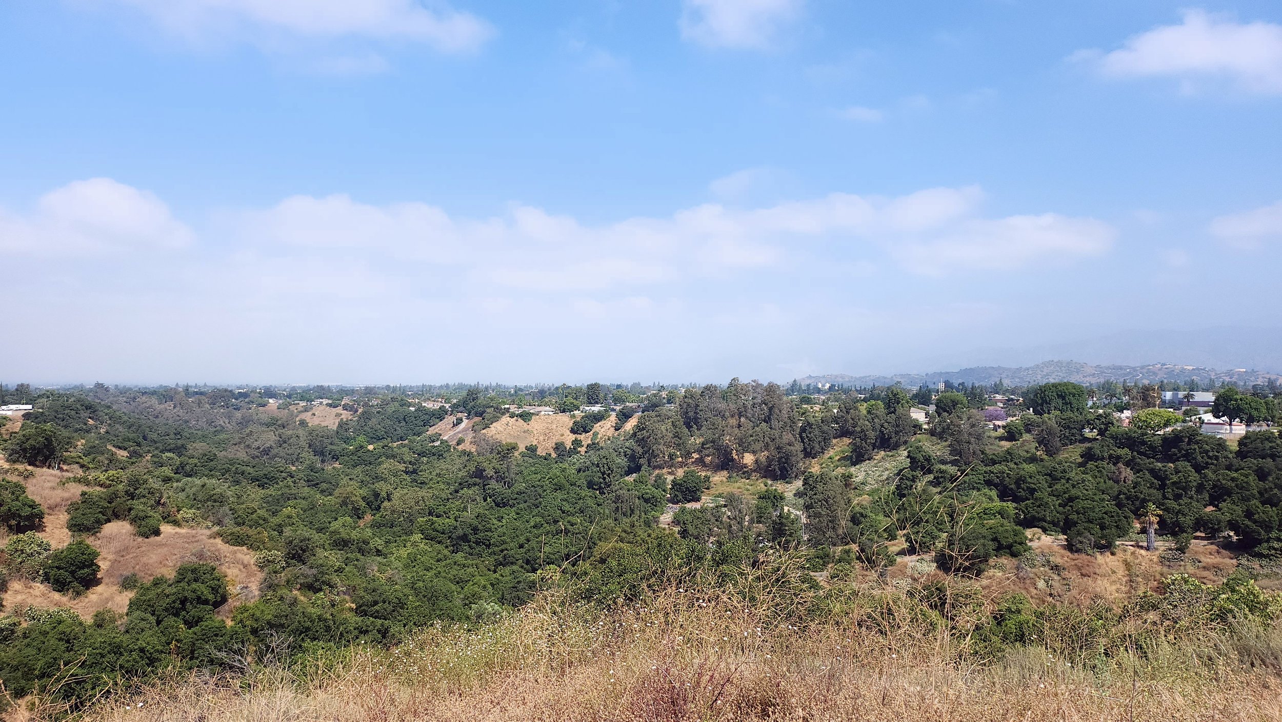 A Day on the Trail