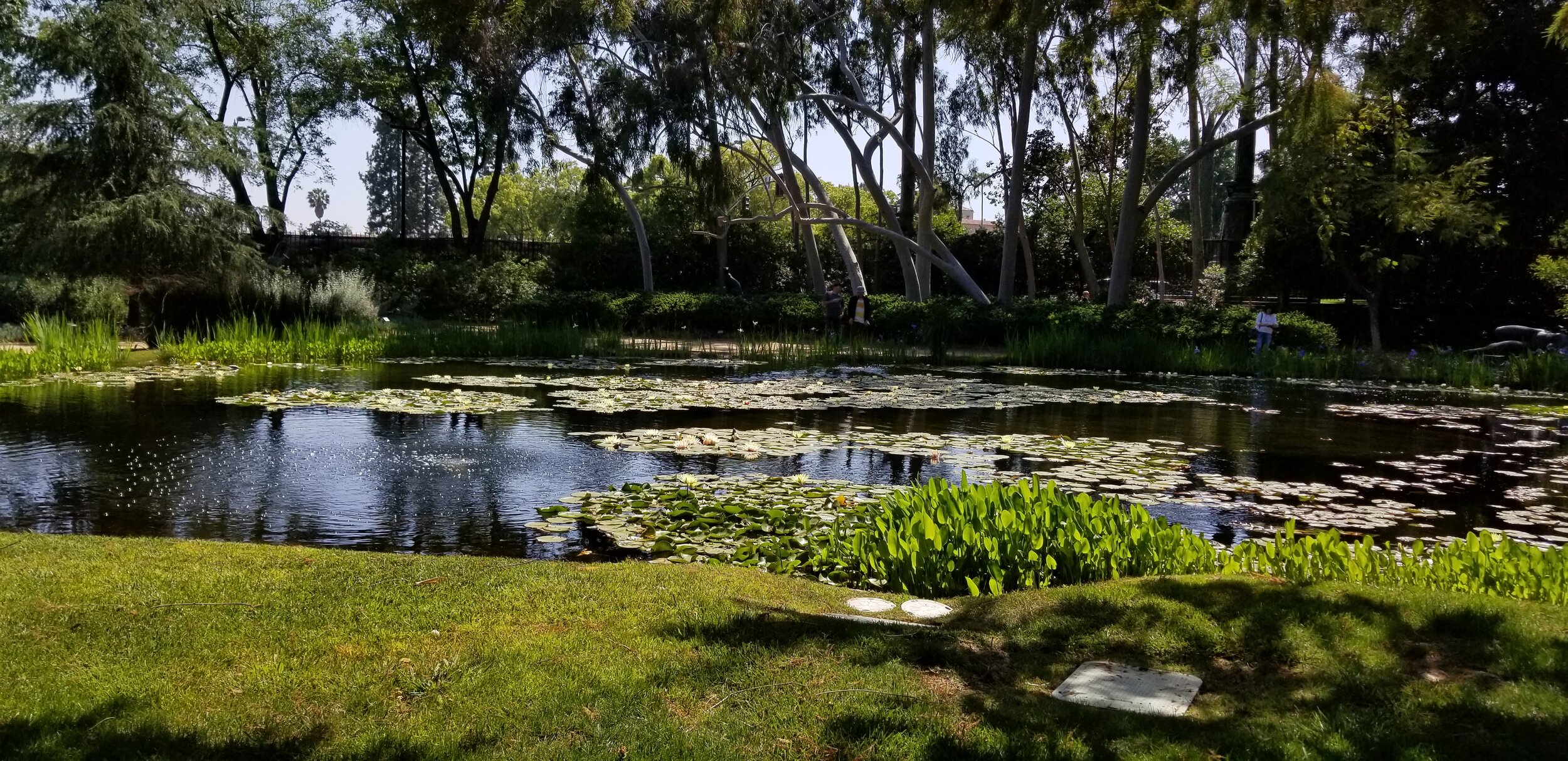 Old but Gold Vol. 1: Flower's and a Museum Garden