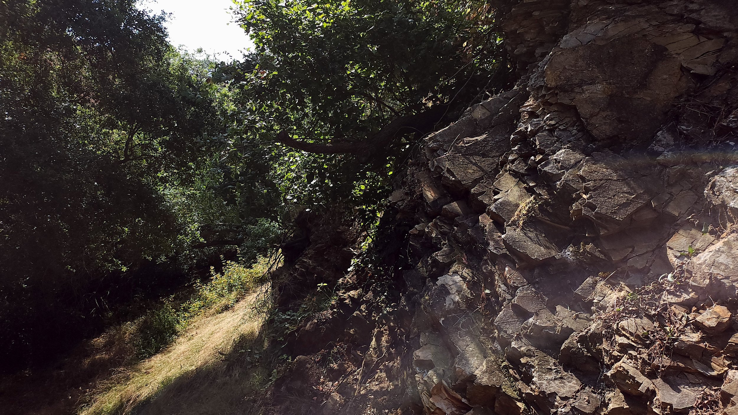 A Day on the Trail