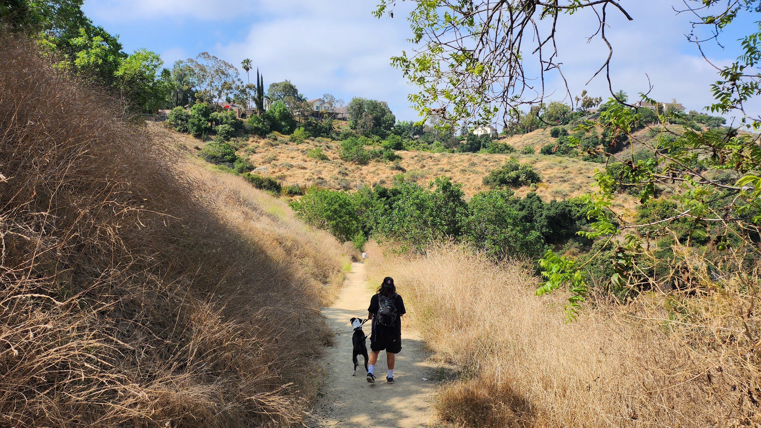 A Day on the Trail