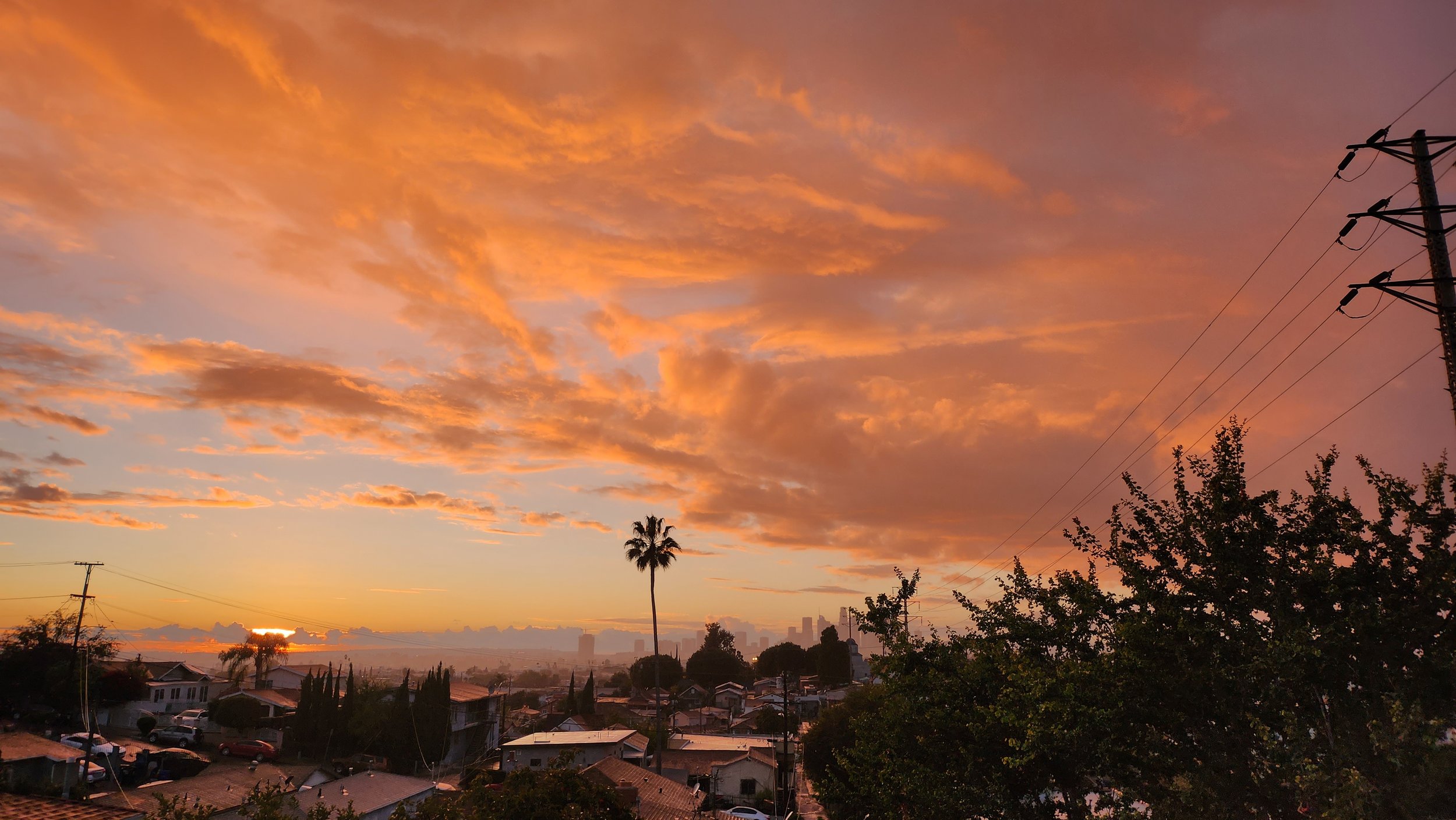 Golden Hour Roses and Amber Rain